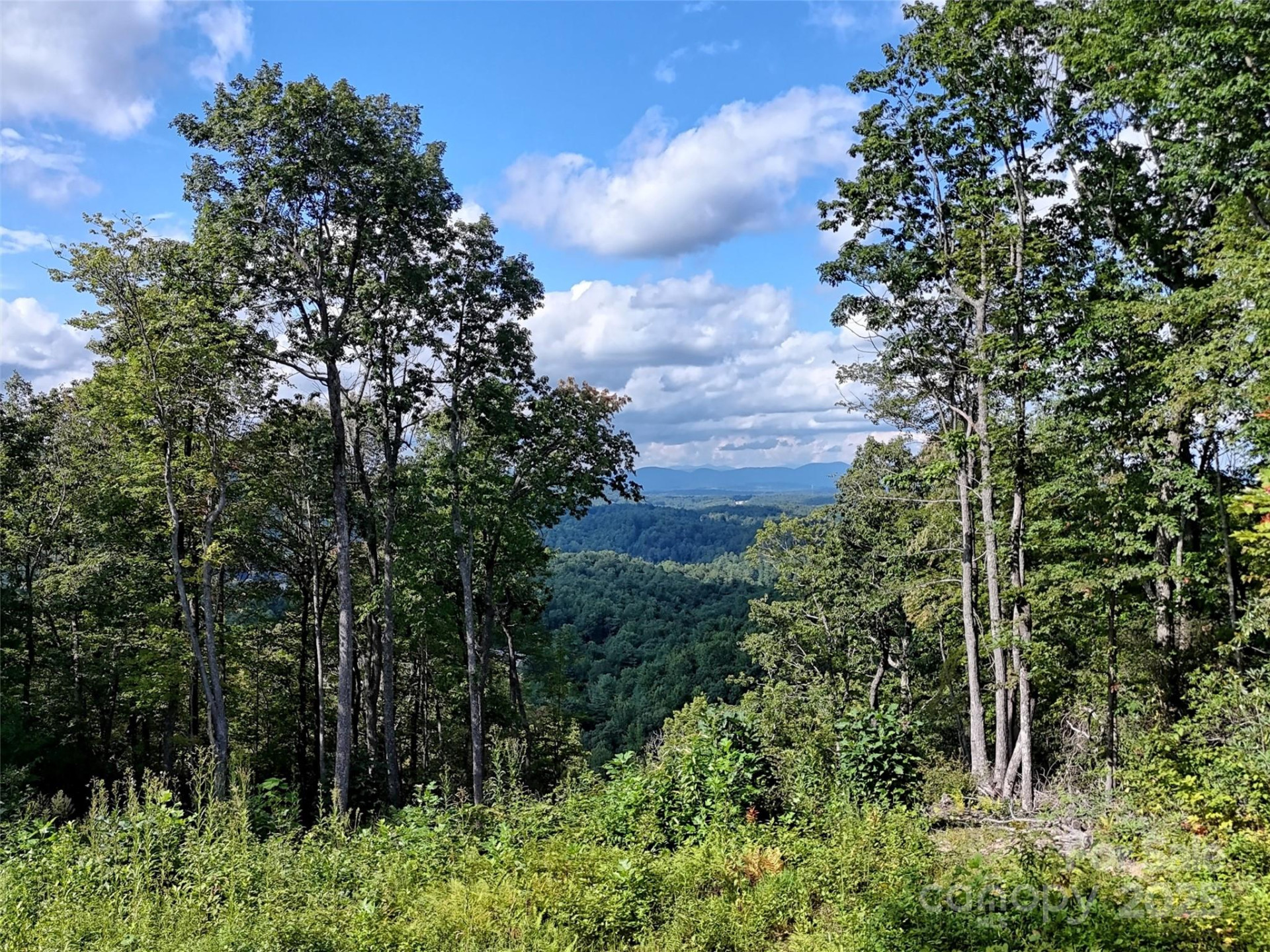 00 Bell Mountain Road - Photo 15