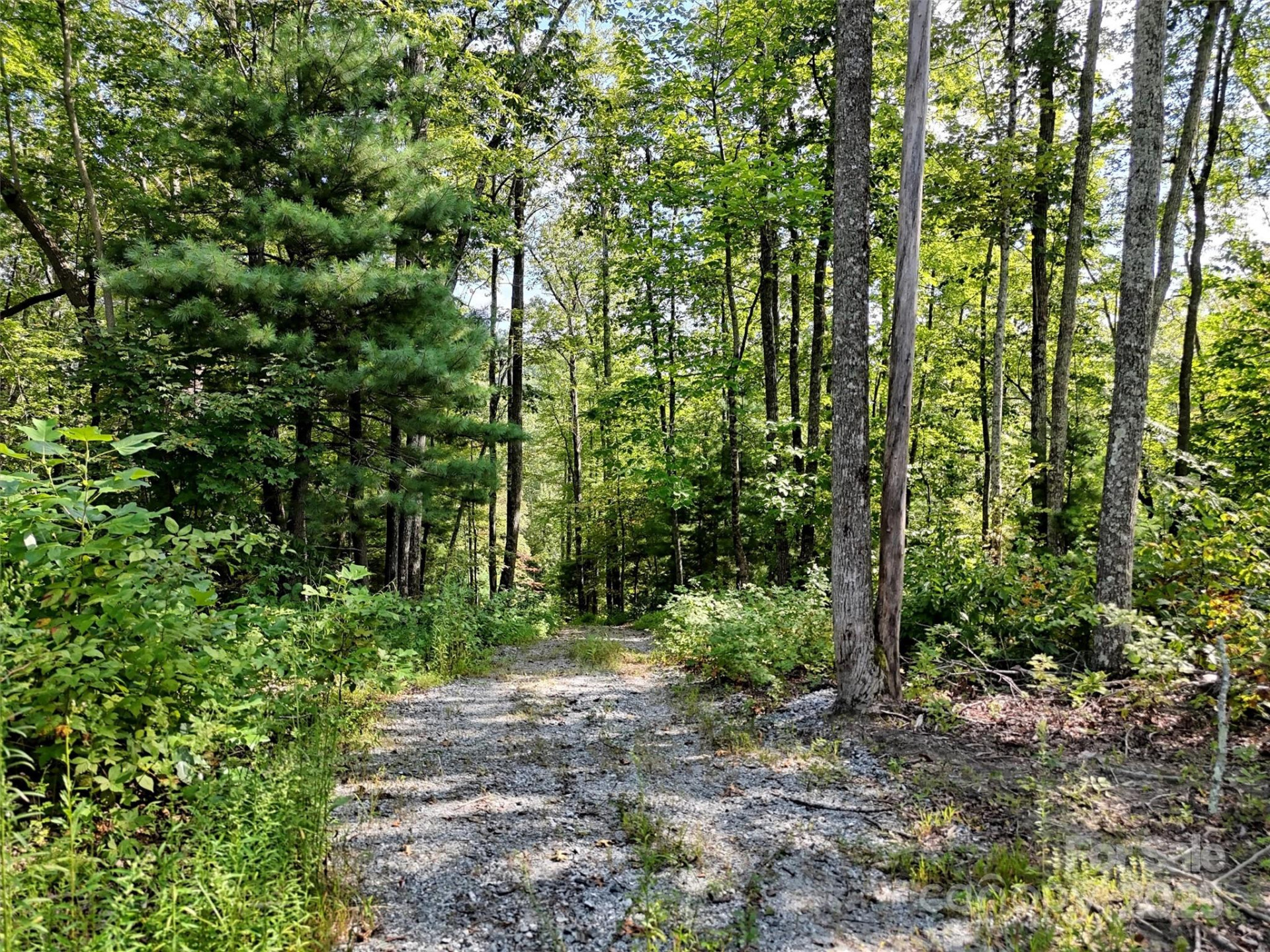 00 Bell Mountain Road - Photo 17