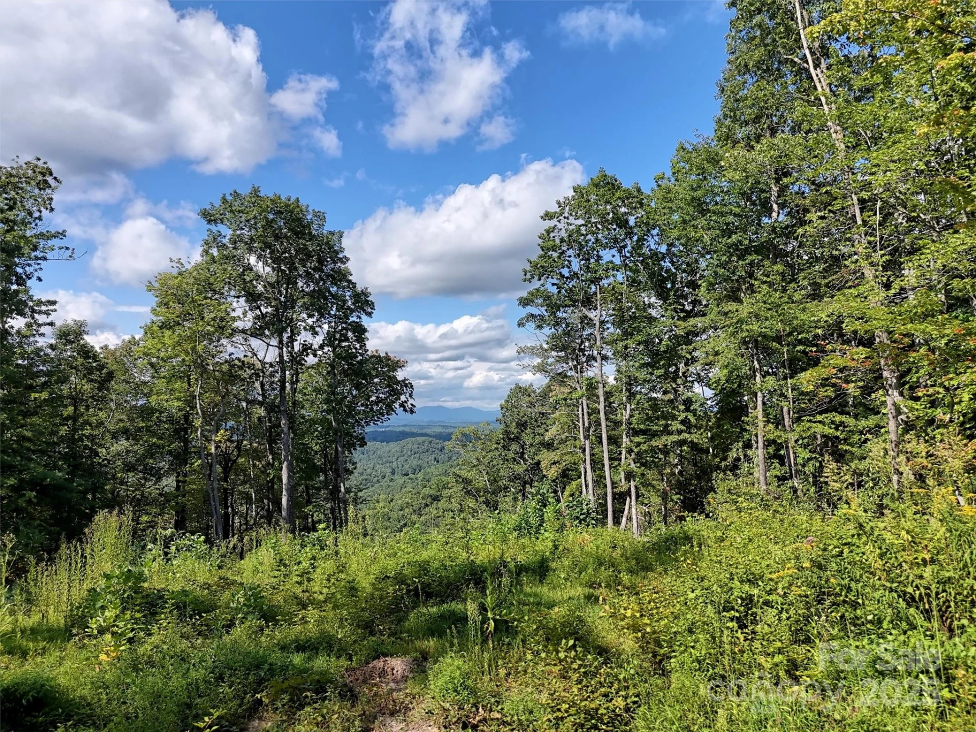 00 Bell Mountain Road - Photo 3