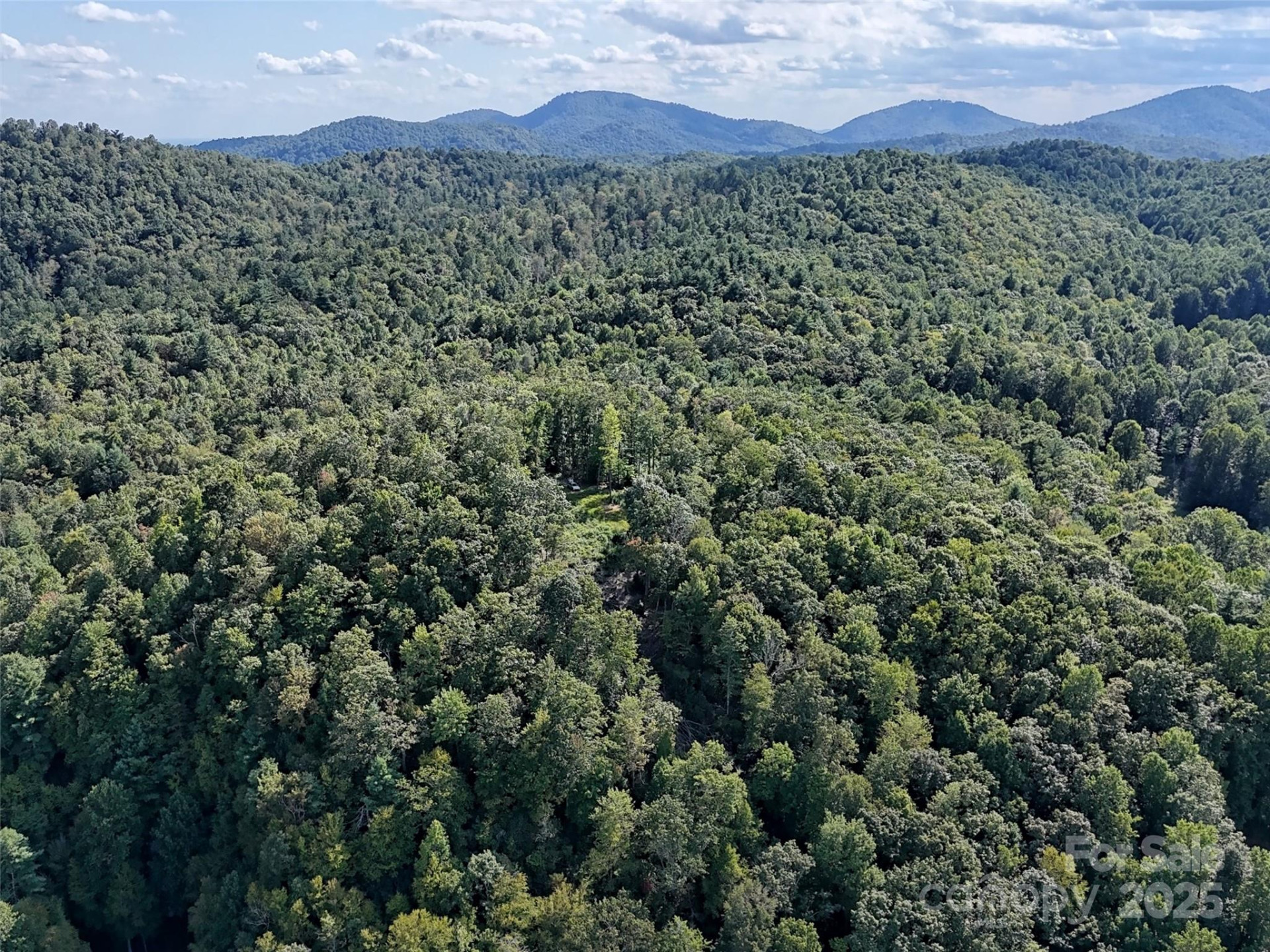 00 Bell Mountain Road - Photo 4