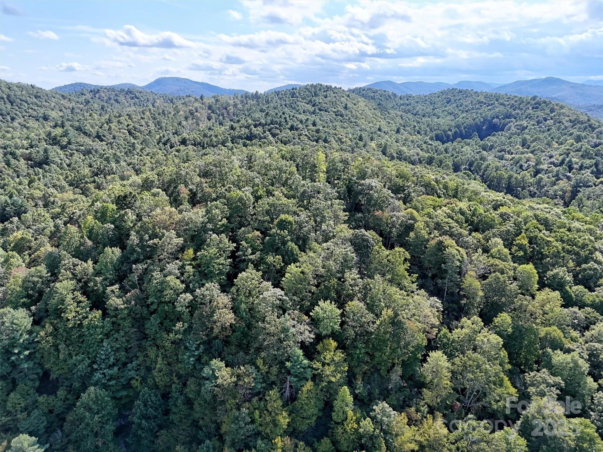 00 Bell Mountain Road - Photo 8