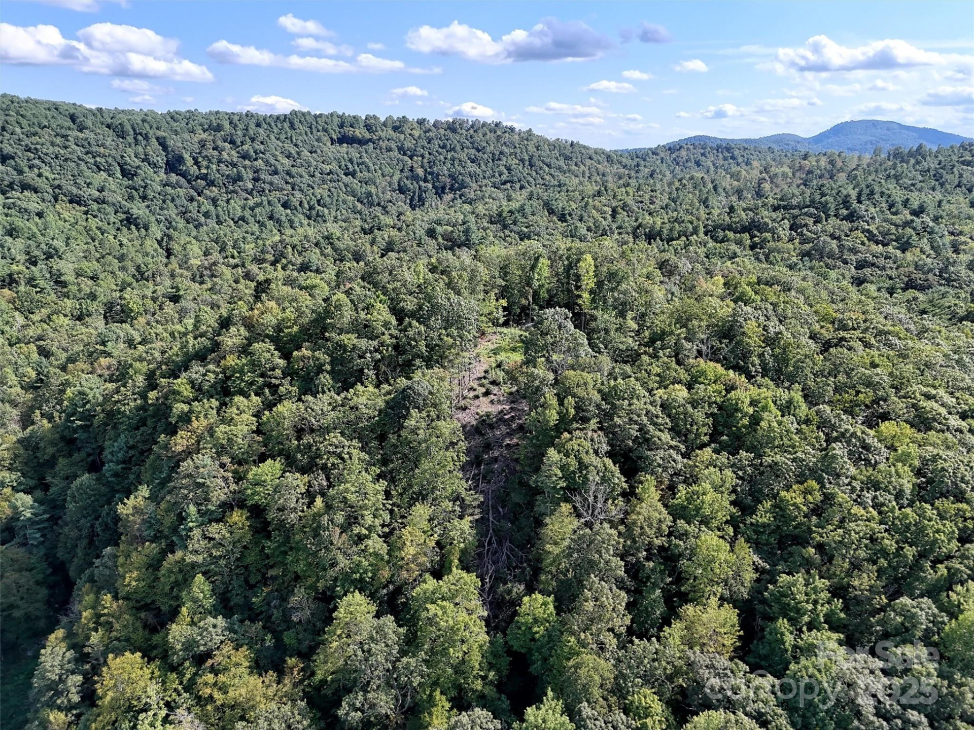 00 Bell Mountain Road - Photo 9