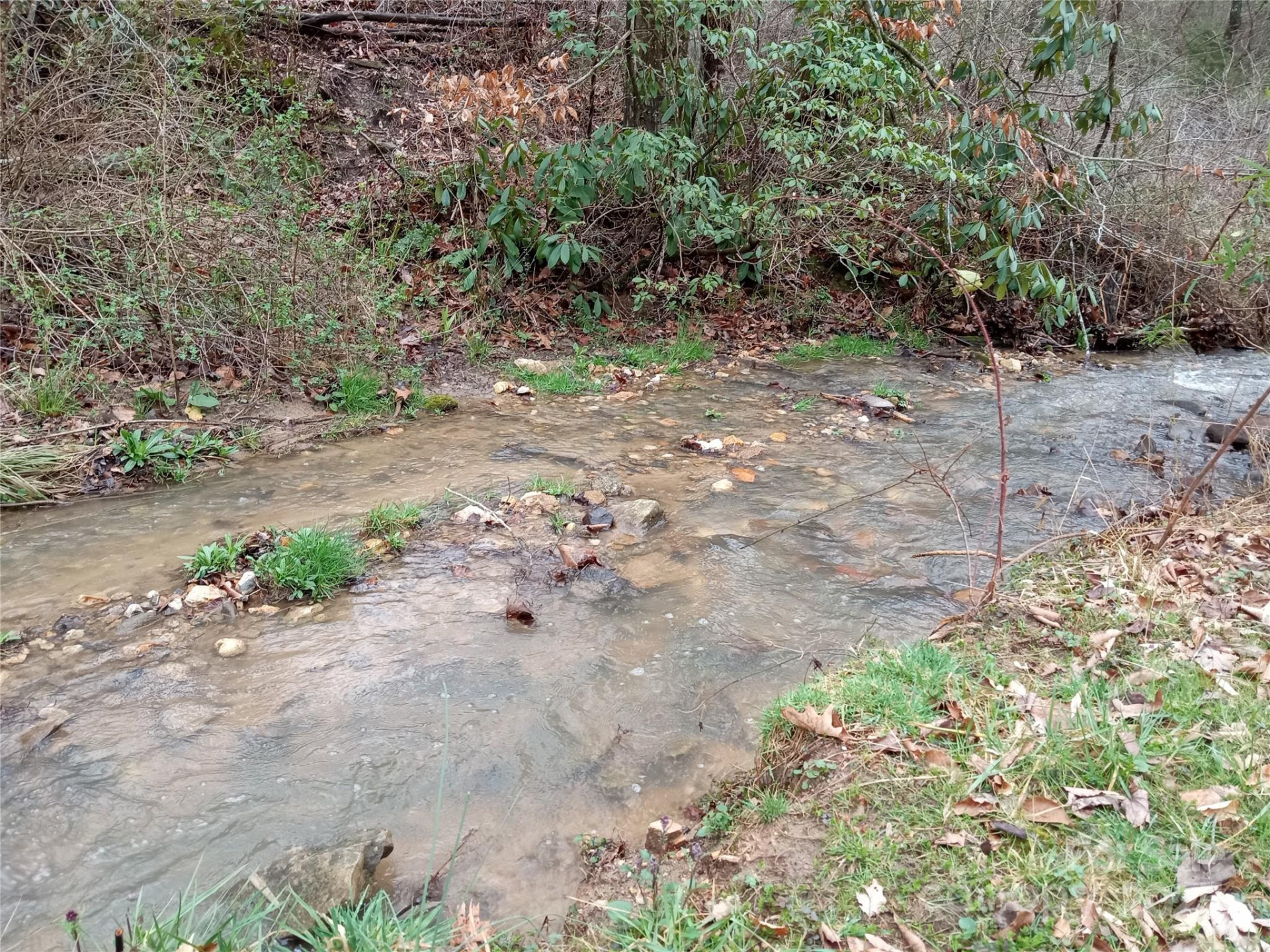 155 Old Starnes Cove Road - Photo 23