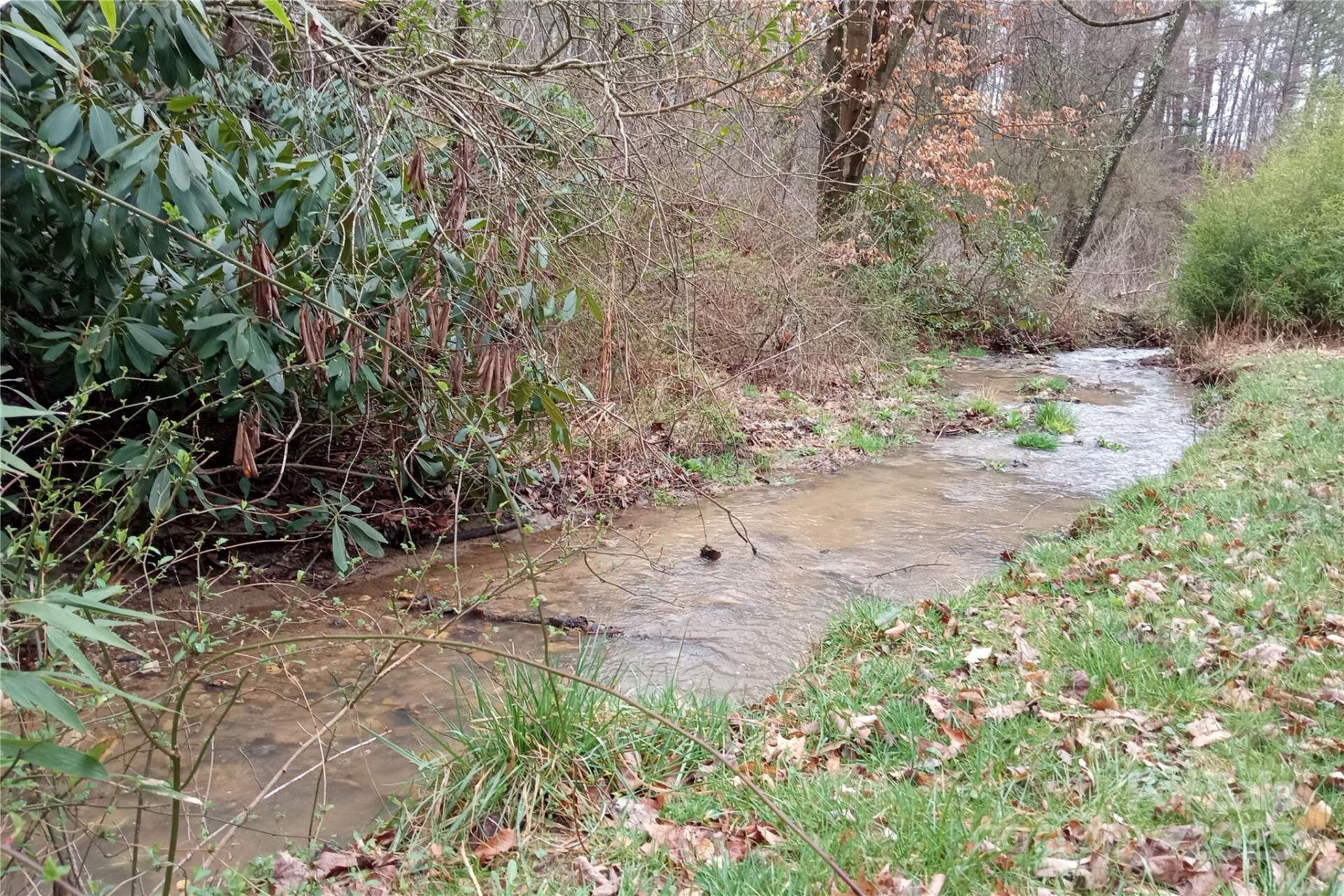 155 Old Starnes Cove Road - Photo 24