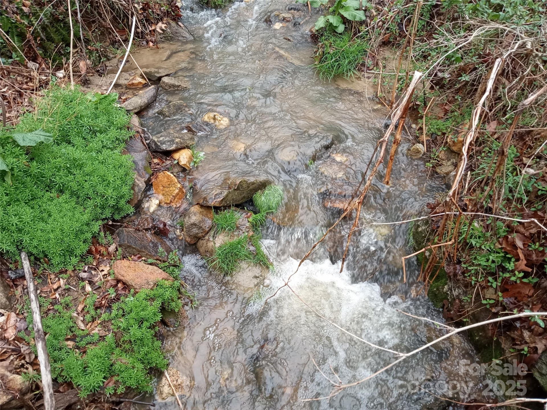 155 Old Starnes Cove Road - Photo 25