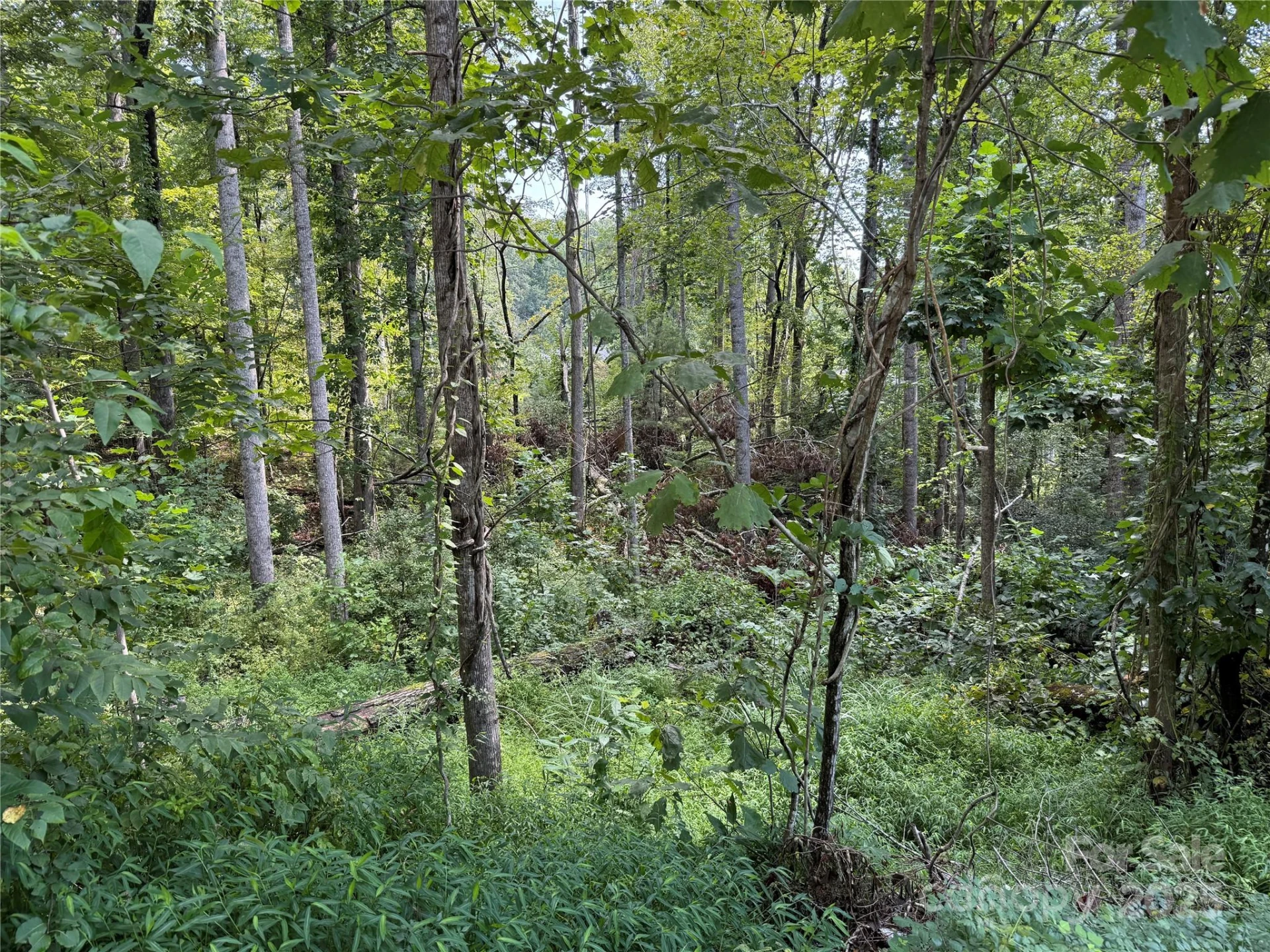 256 Burge Mountain Road