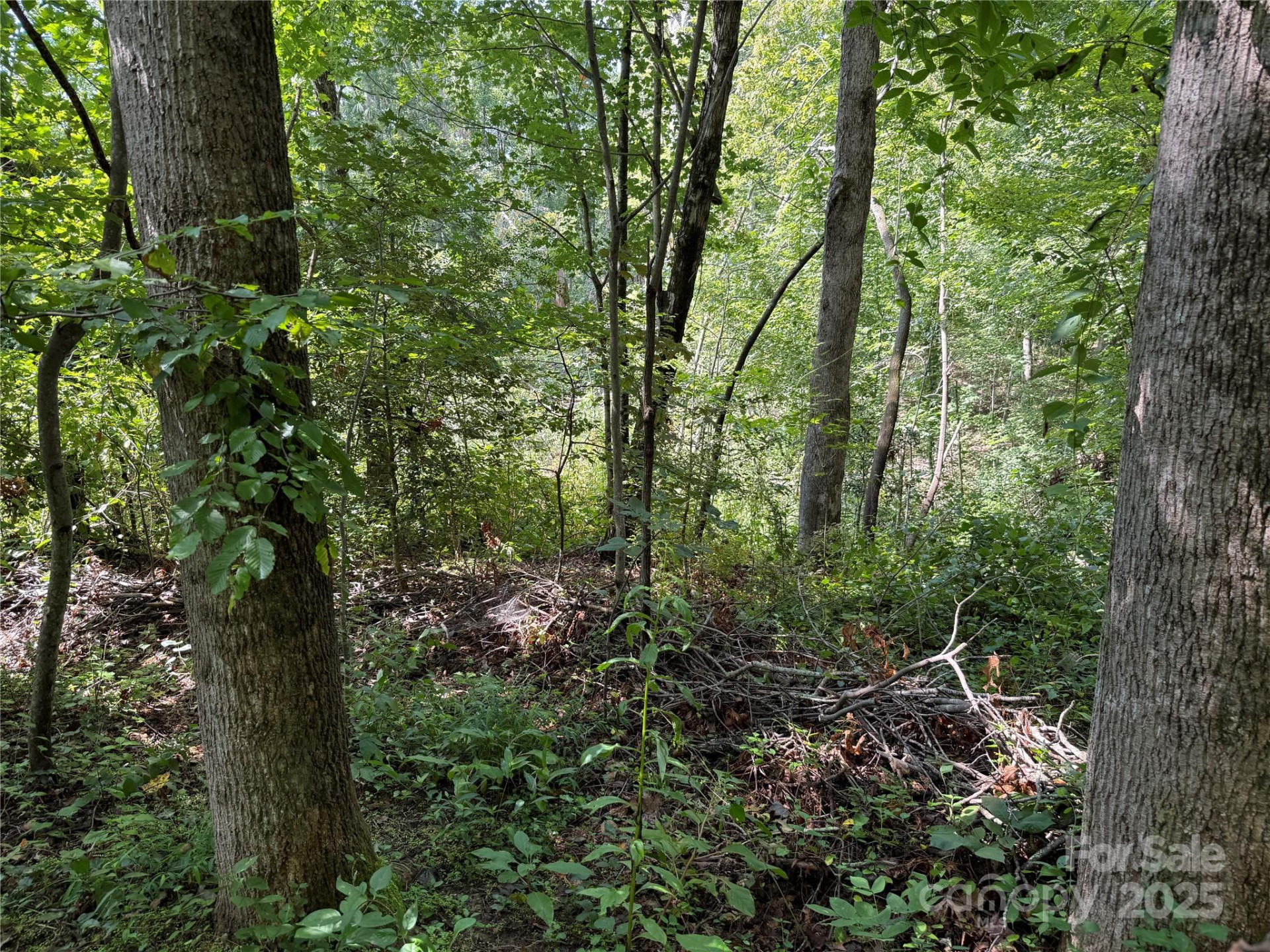 256 Burge Mountain Road - Photo 11