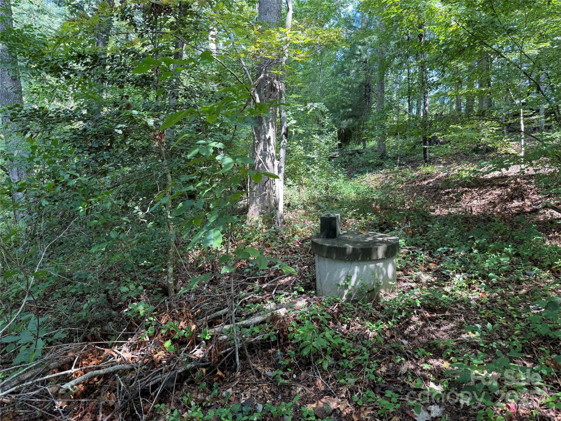 256 Burge Mountain Road - Photo 12