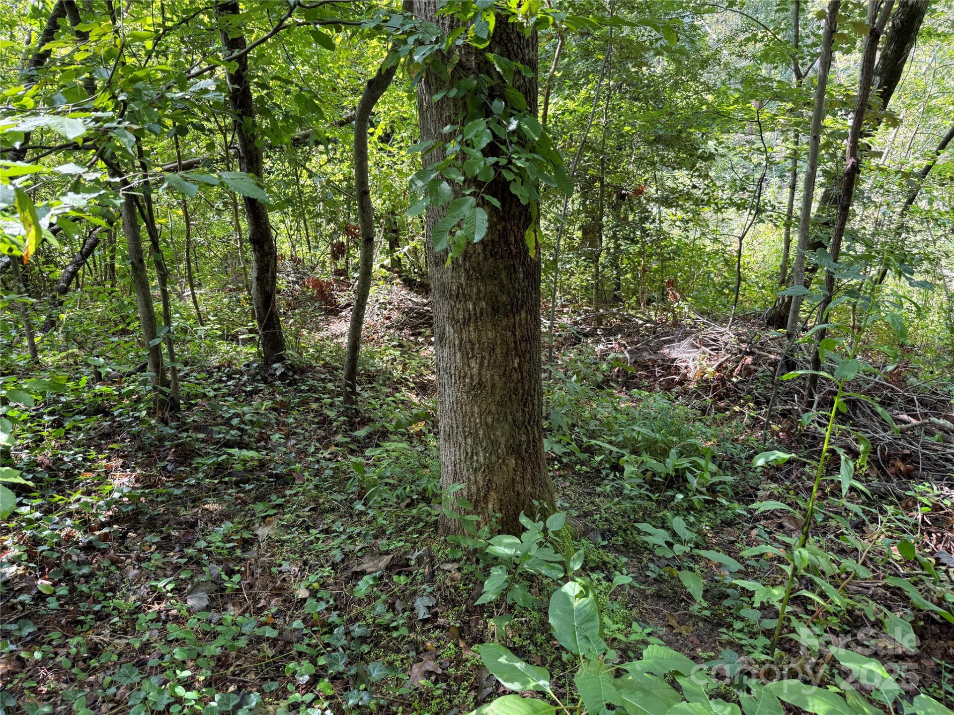 256 Burge Mountain Road - Photo 13