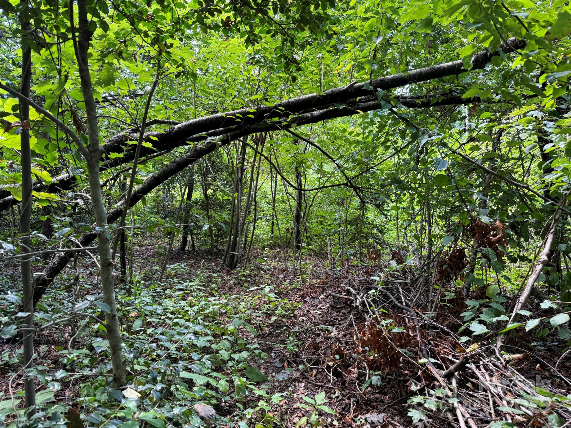 256 Burge Mountain Road - Photo 14