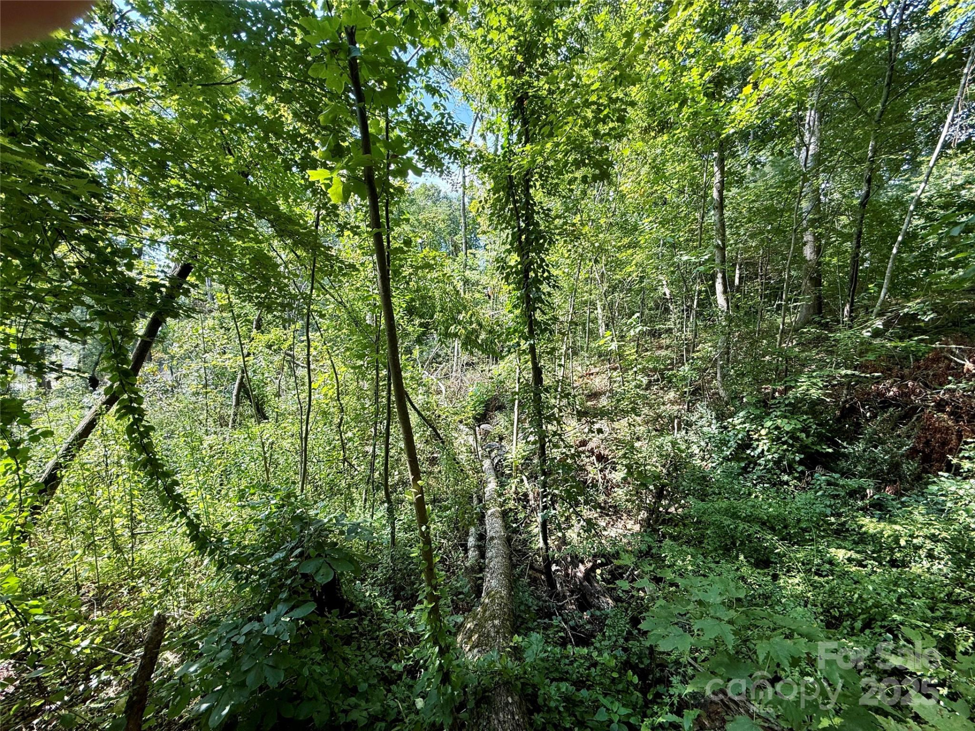 256 Burge Mountain Road - Photo 15