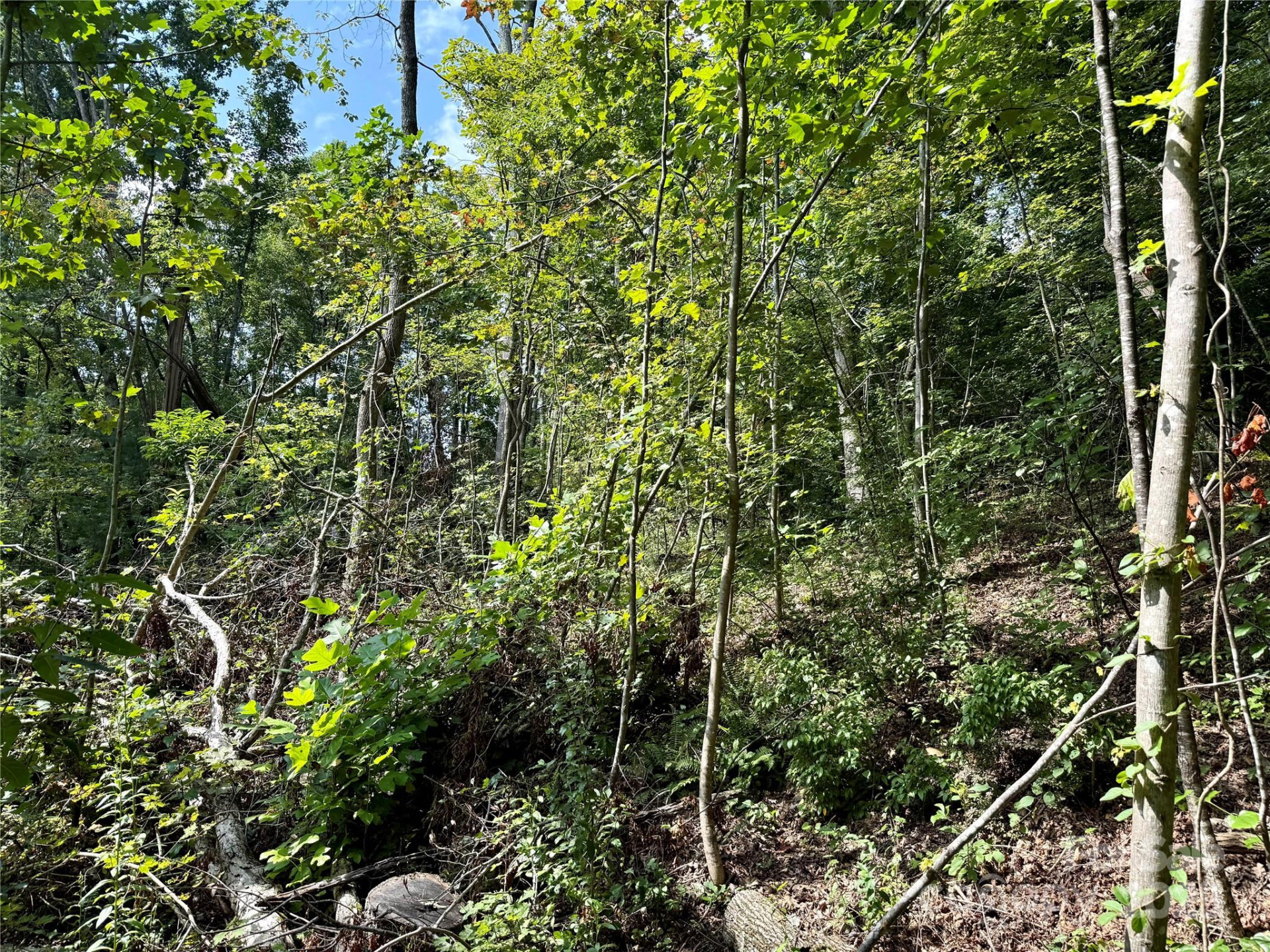 256 Burge Mountain Road - Photo 16