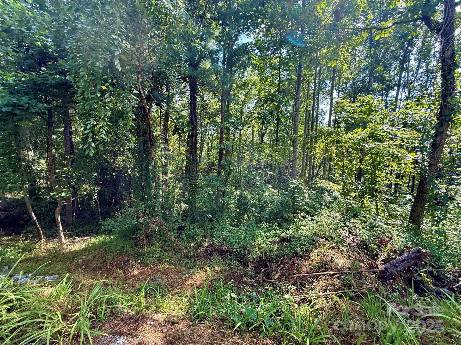 256 Burge Mountain Road - Photo 17