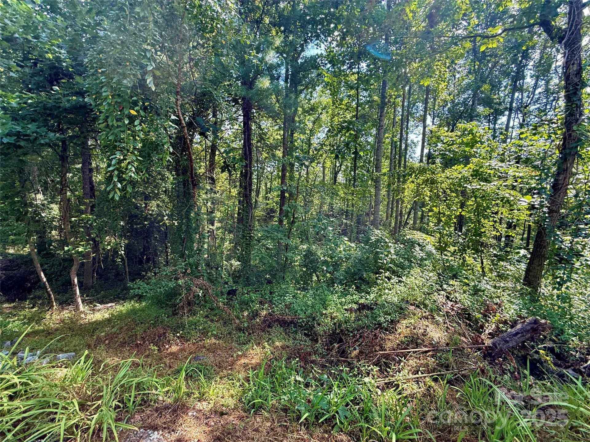 256 Burge Mountain Road - Photo 17