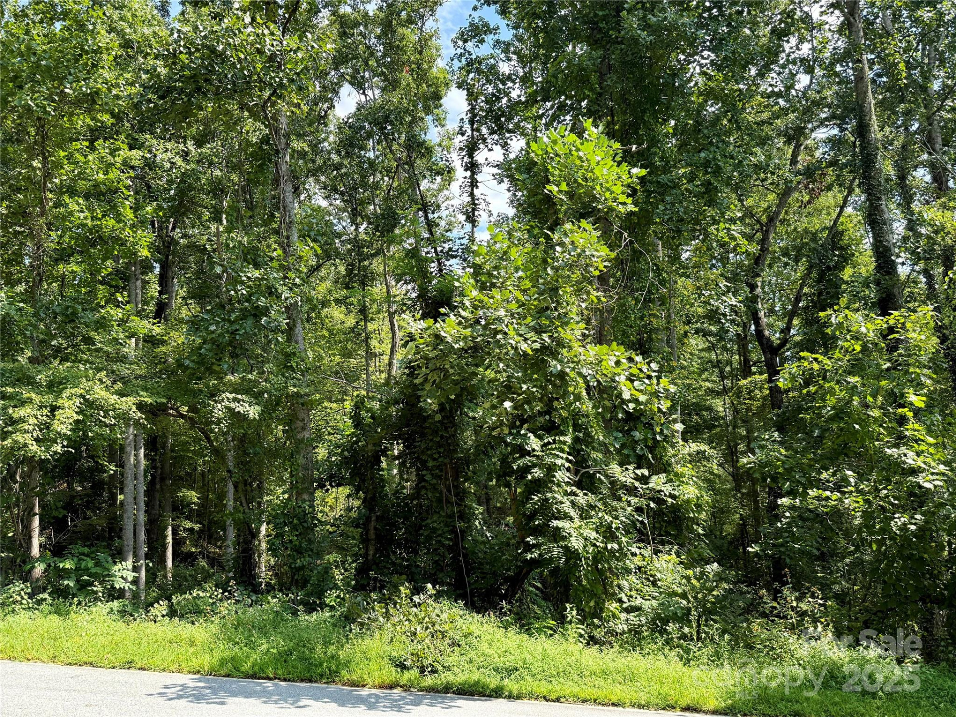 256 Burge Mountain Road - Photo 20