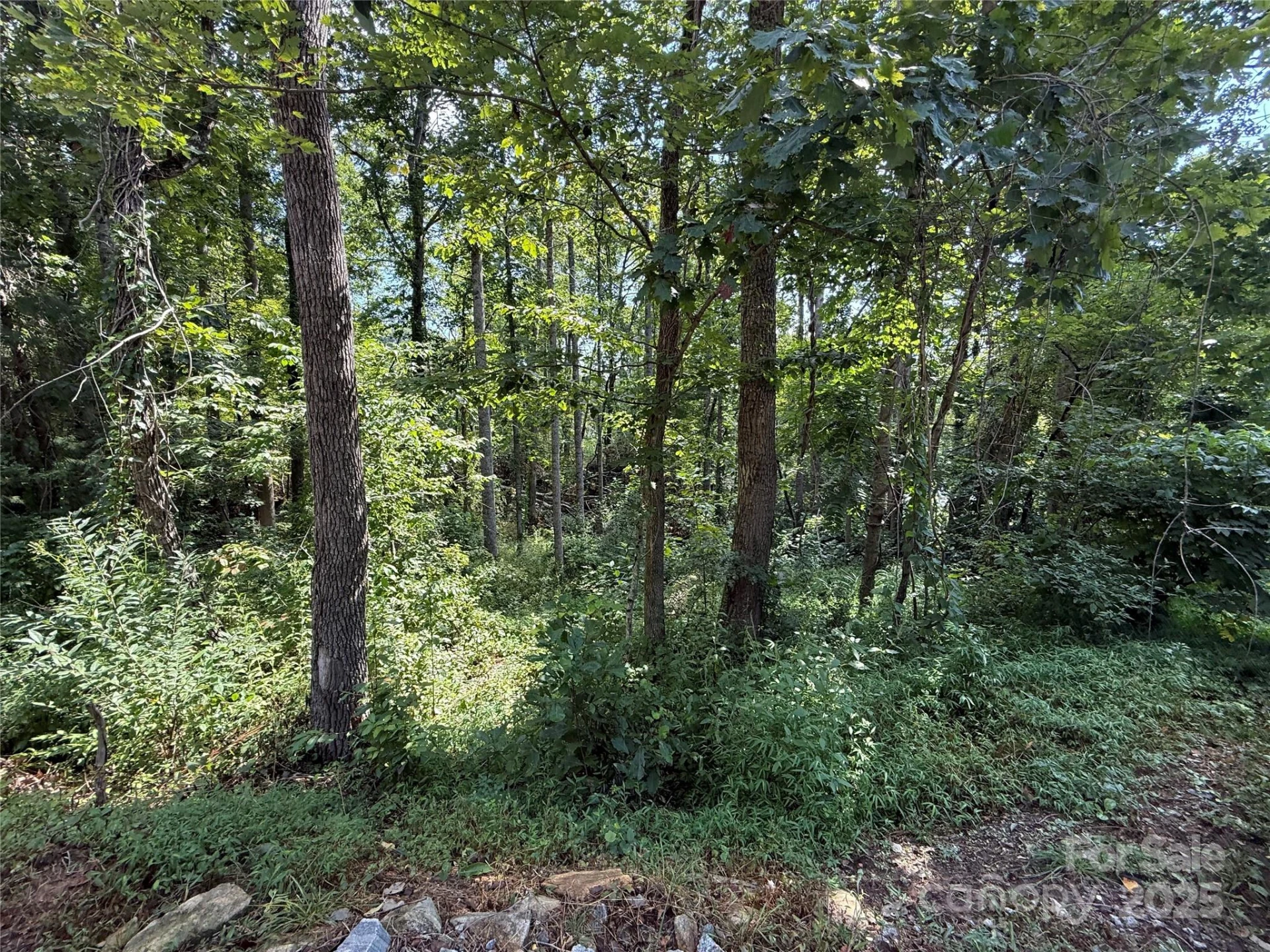 256 Burge Mountain Road - Photo 3