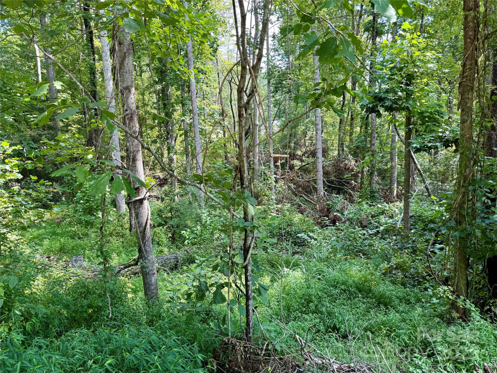 256 Burge Mountain Road - Photo 21