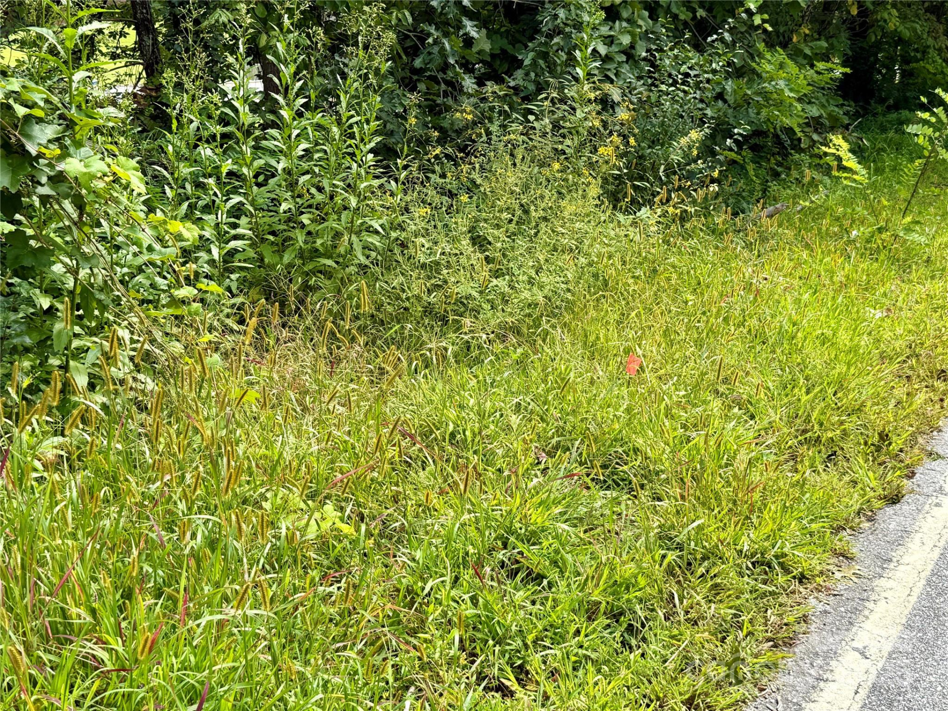 256 Burge Mountain Road - Photo 22