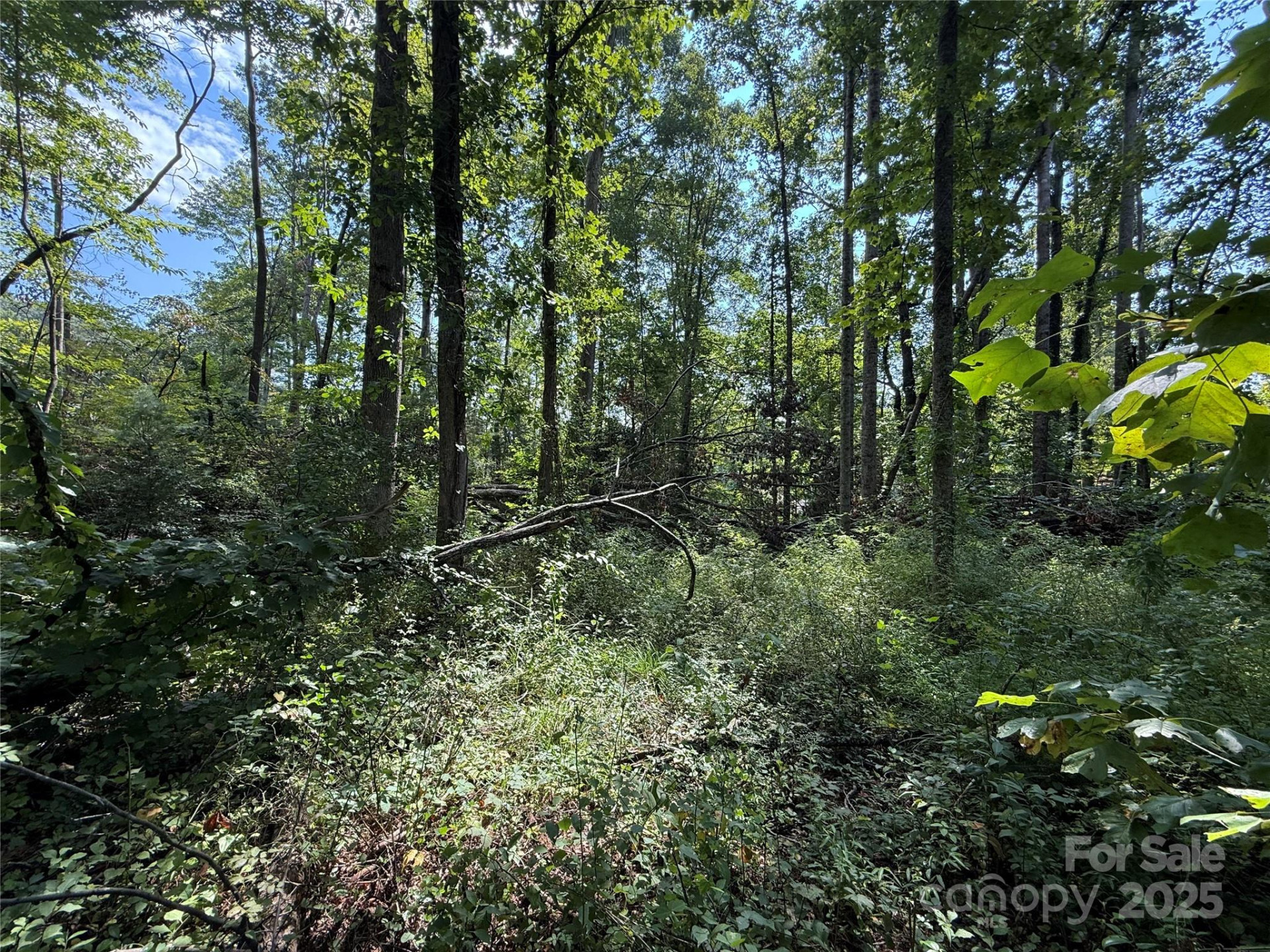 256 Burge Mountain Road - Photo 4