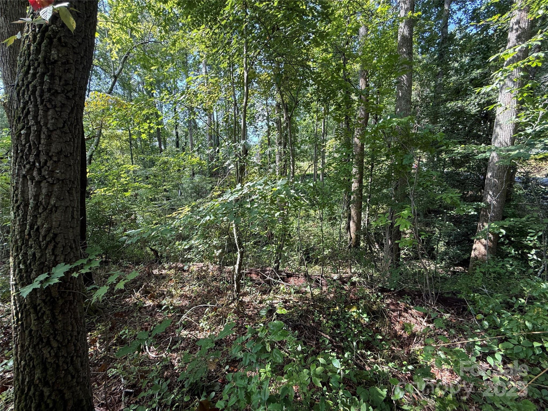 256 Burge Mountain Road - Photo 5