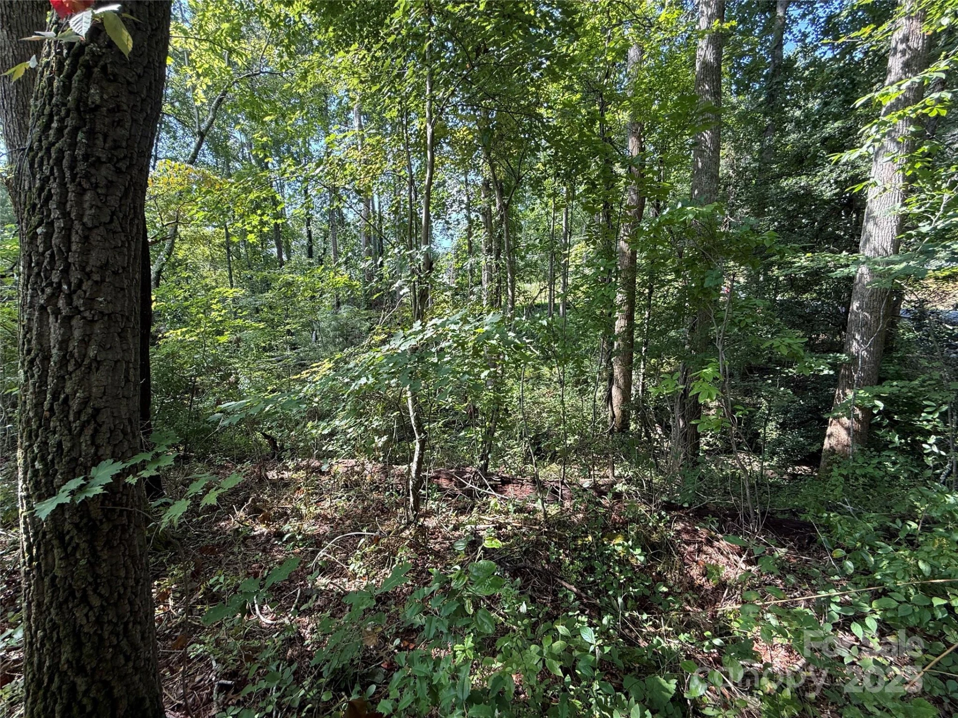 256 Burge Mountain Road - Photo 5