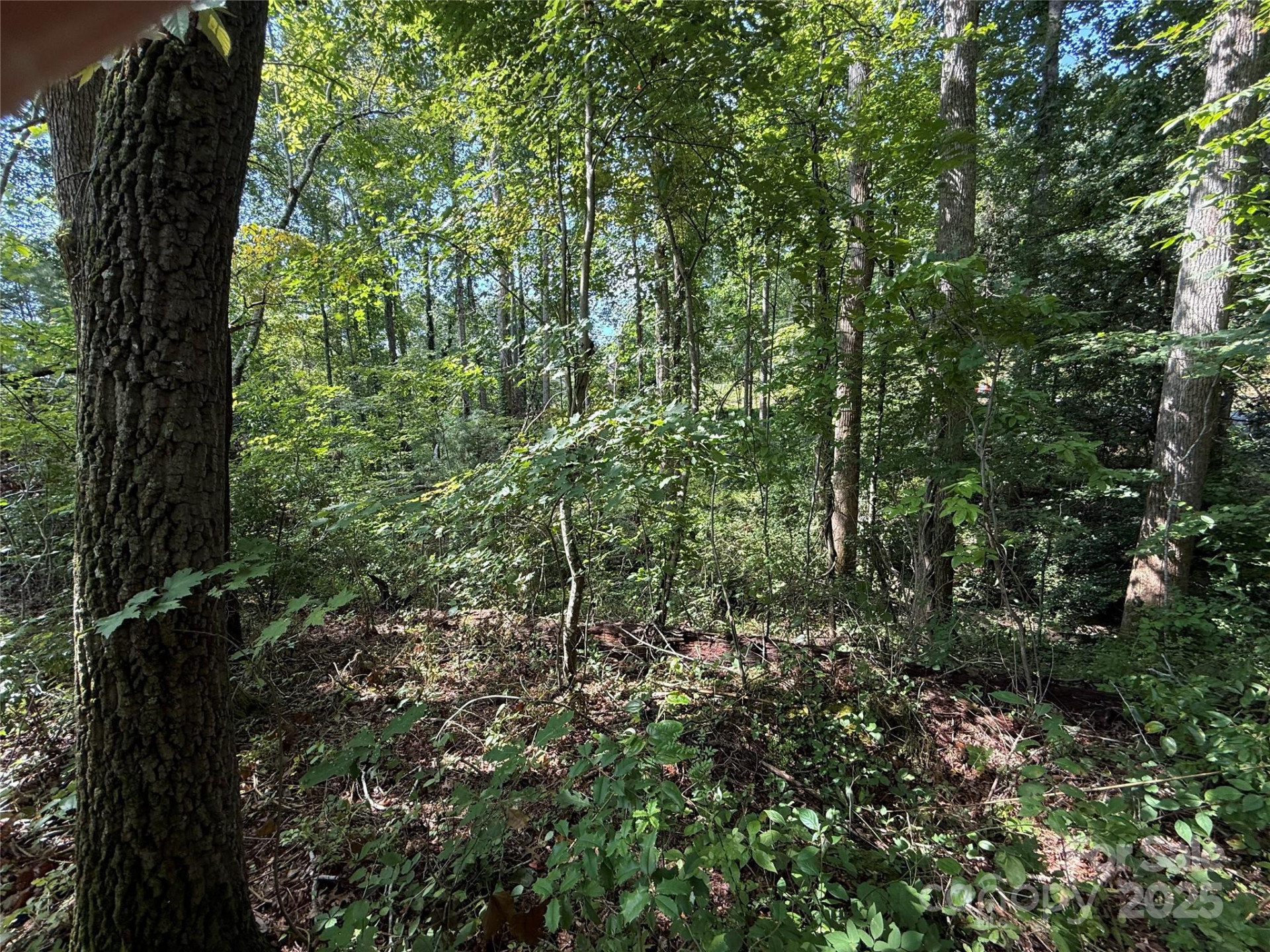 256 Burge Mountain Road - Photo 6