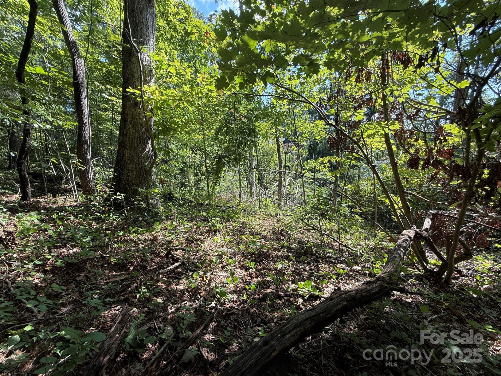 256 Burge Mountain Road - Photo 7