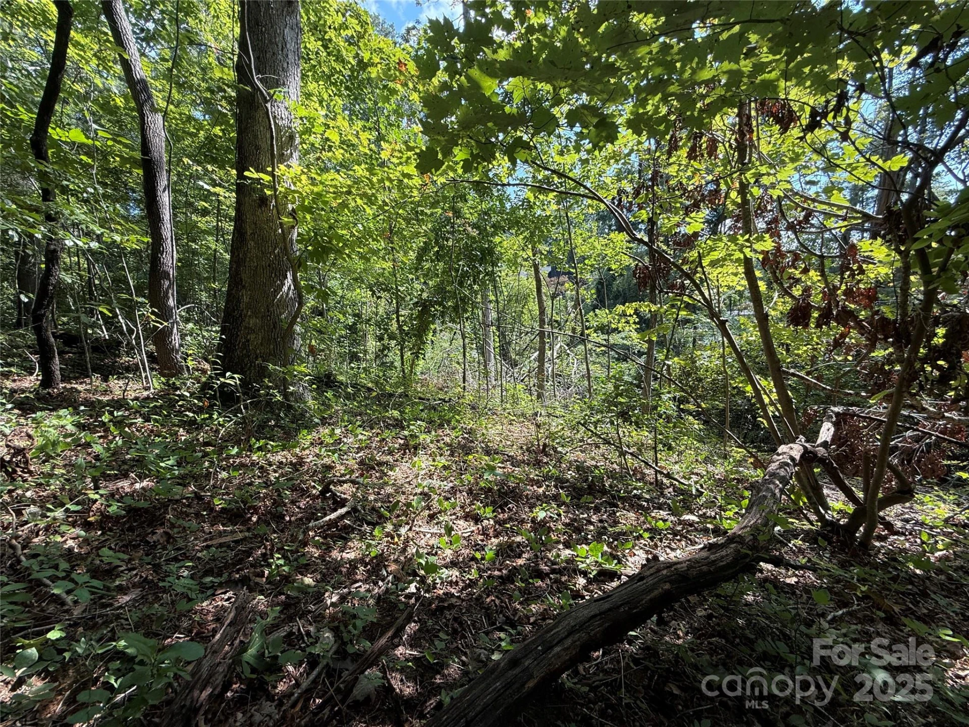 256 Burge Mountain Road - Photo 7
