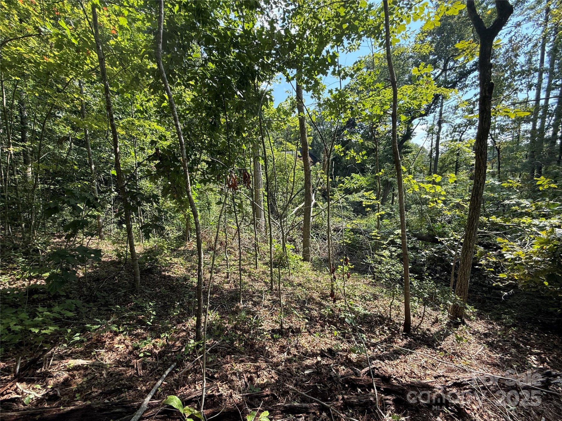 256 Burge Mountain Road - Photo 8