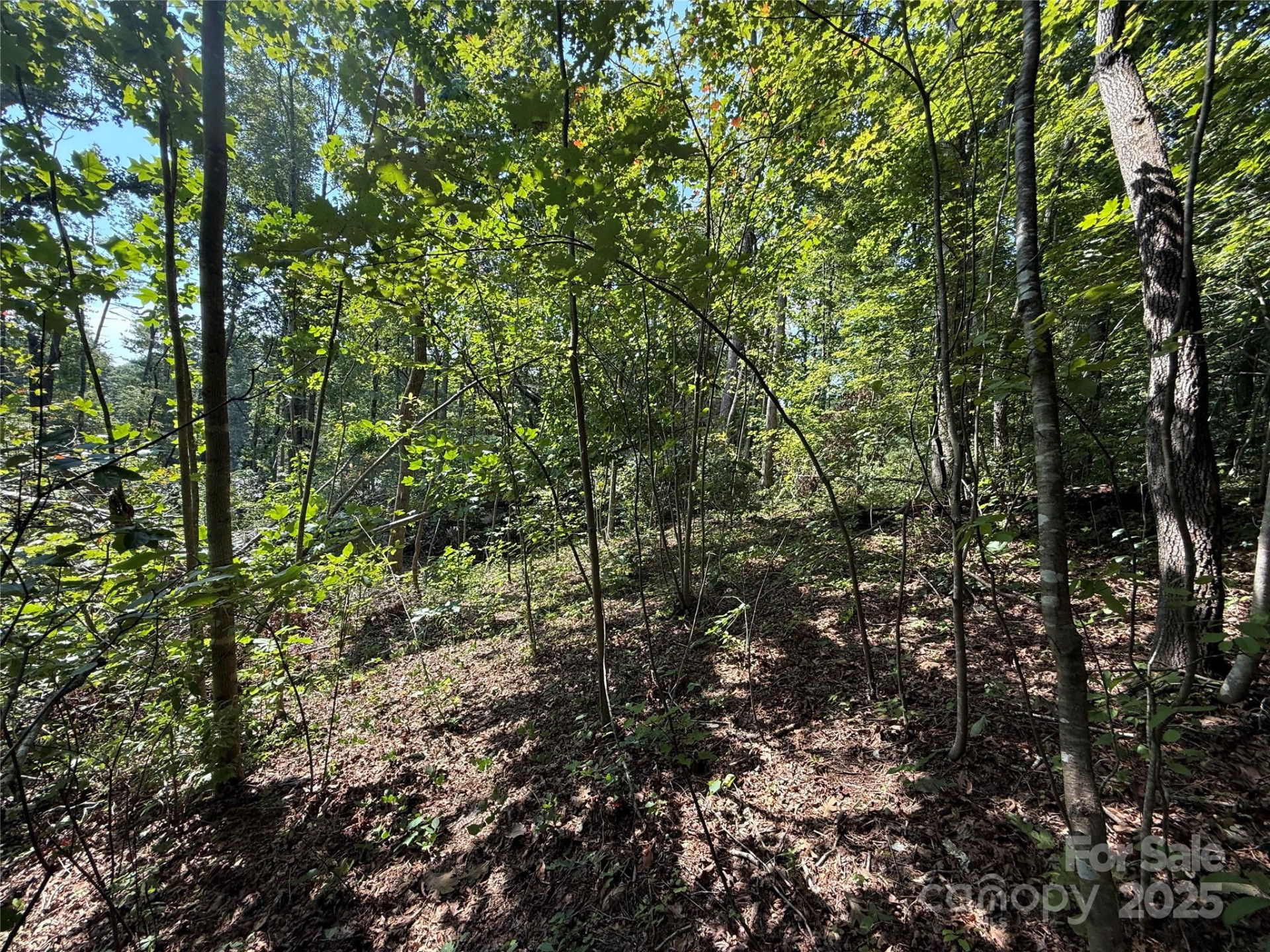 256 Burge Mountain Road - Photo 9