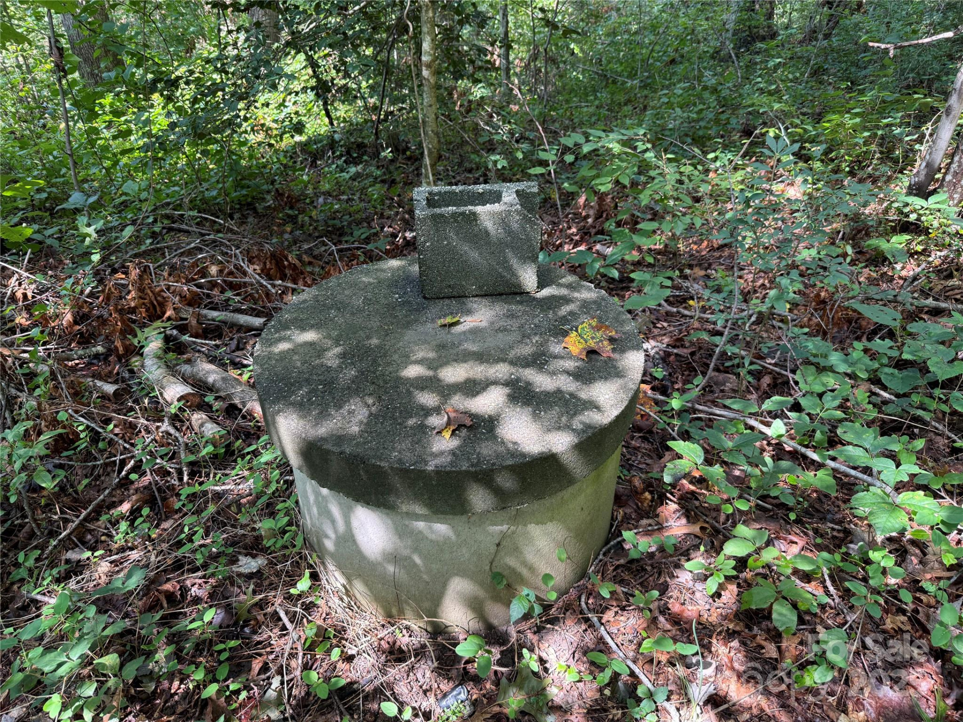 256 Burge Mountain Road - Photo 10