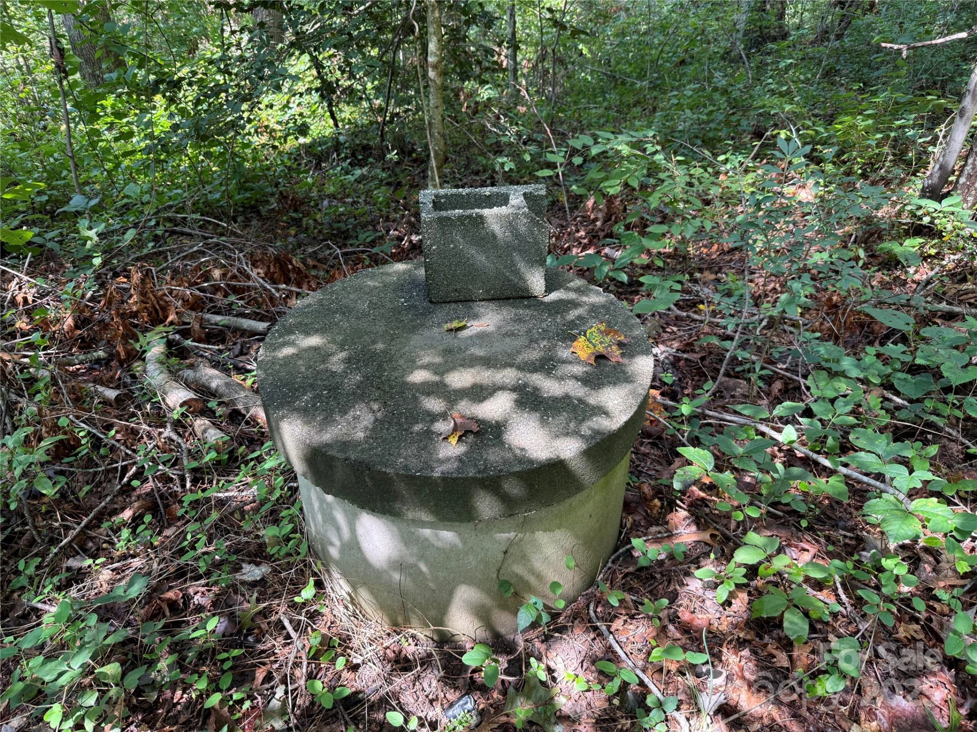 256 Burge Mountain Road - Photo 10