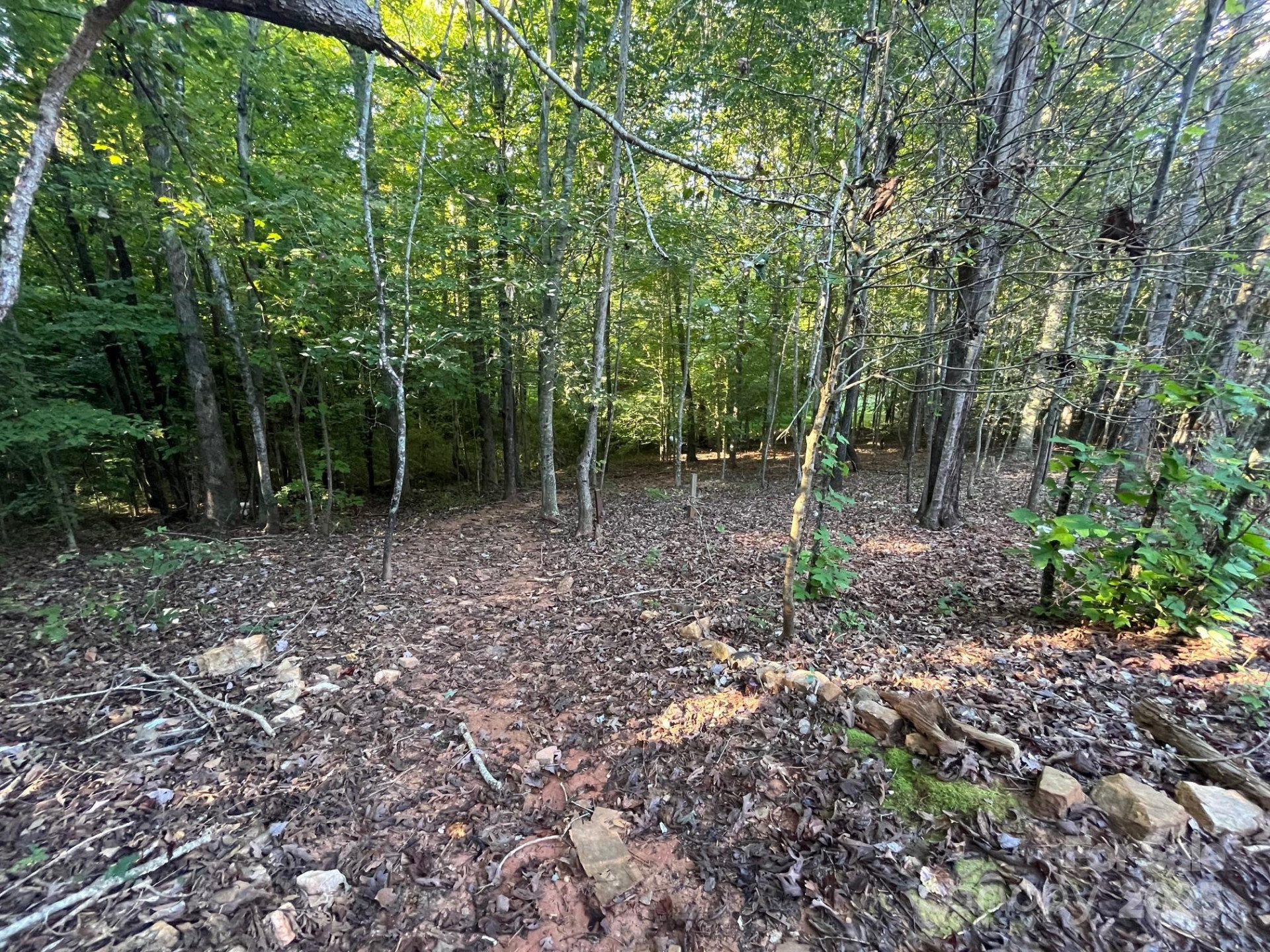 V/L Bambi Drive - Photo 11