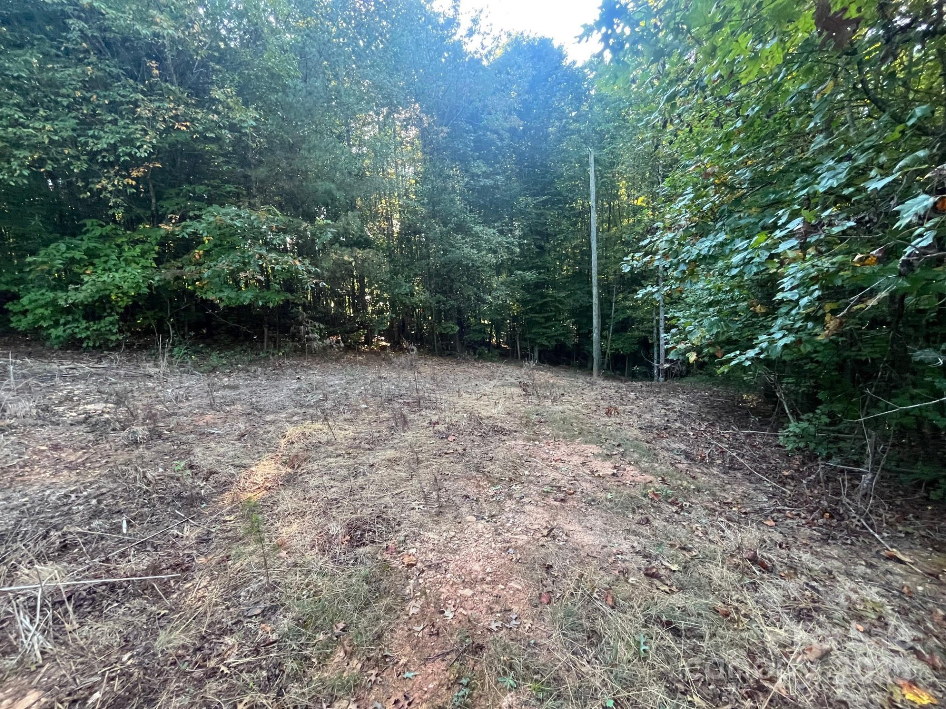 V/L Bambi Drive - Photo 12