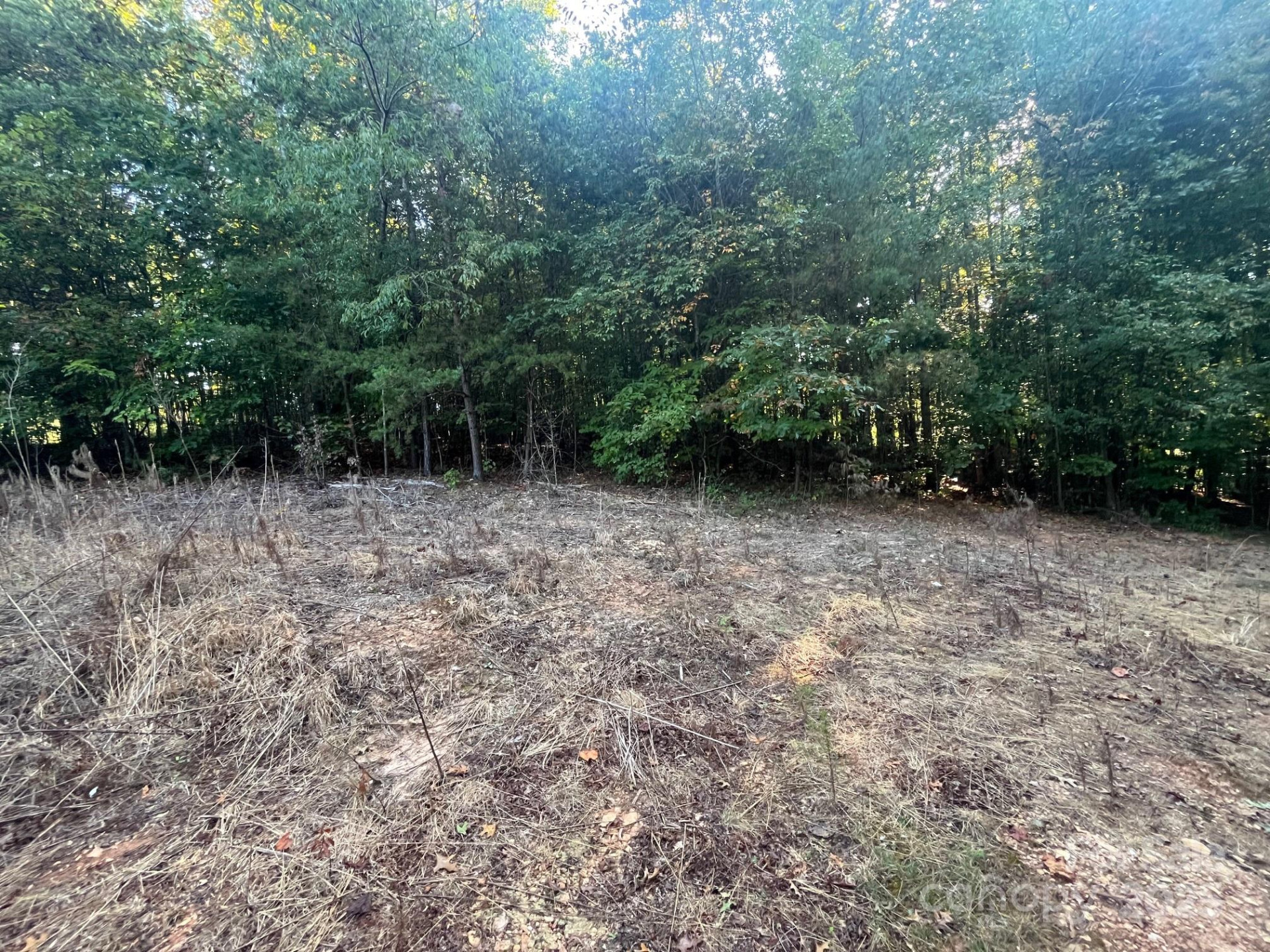 V/L Bambi Drive - Photo 13