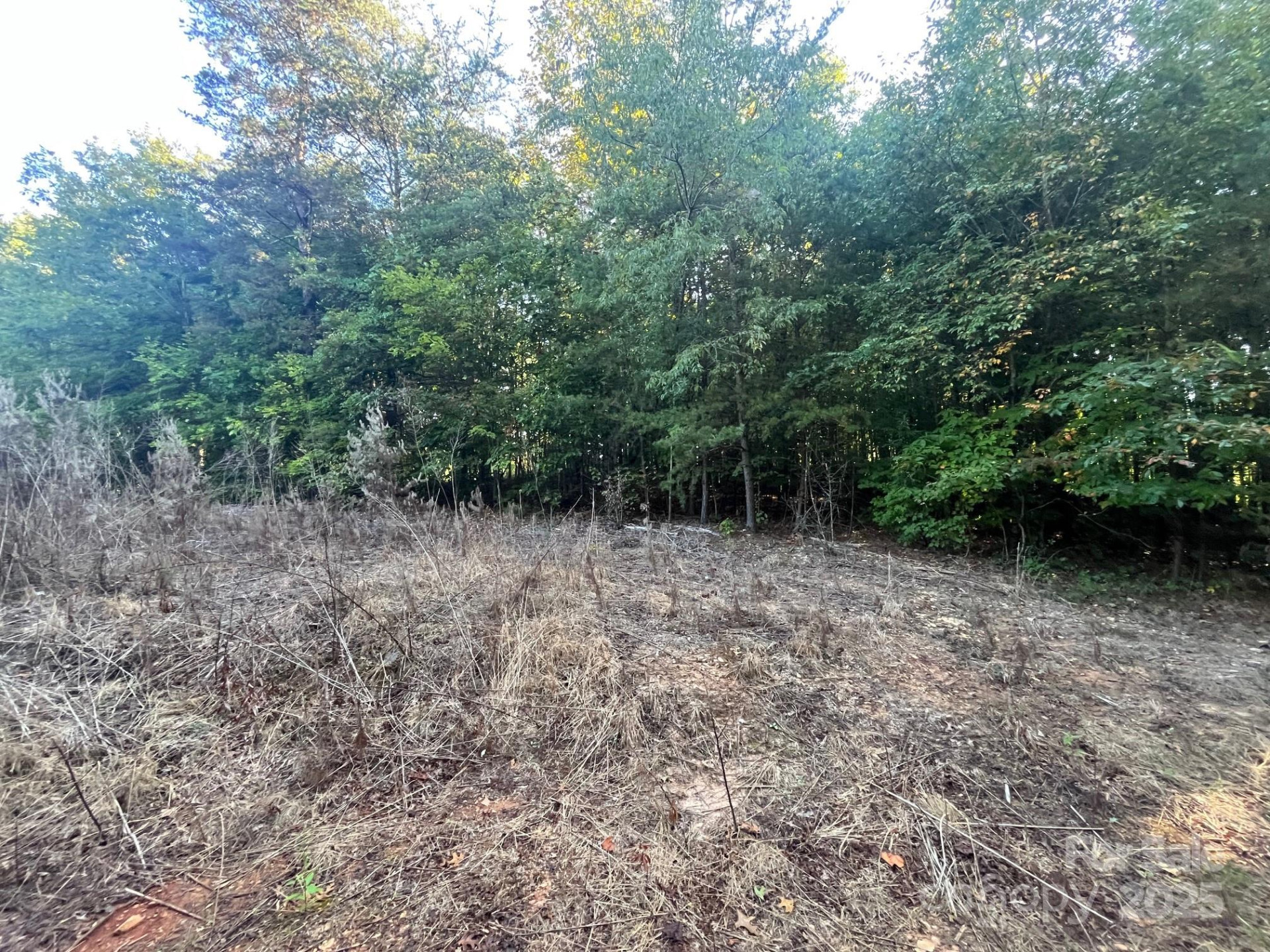 V/L Bambi Drive - Photo 14