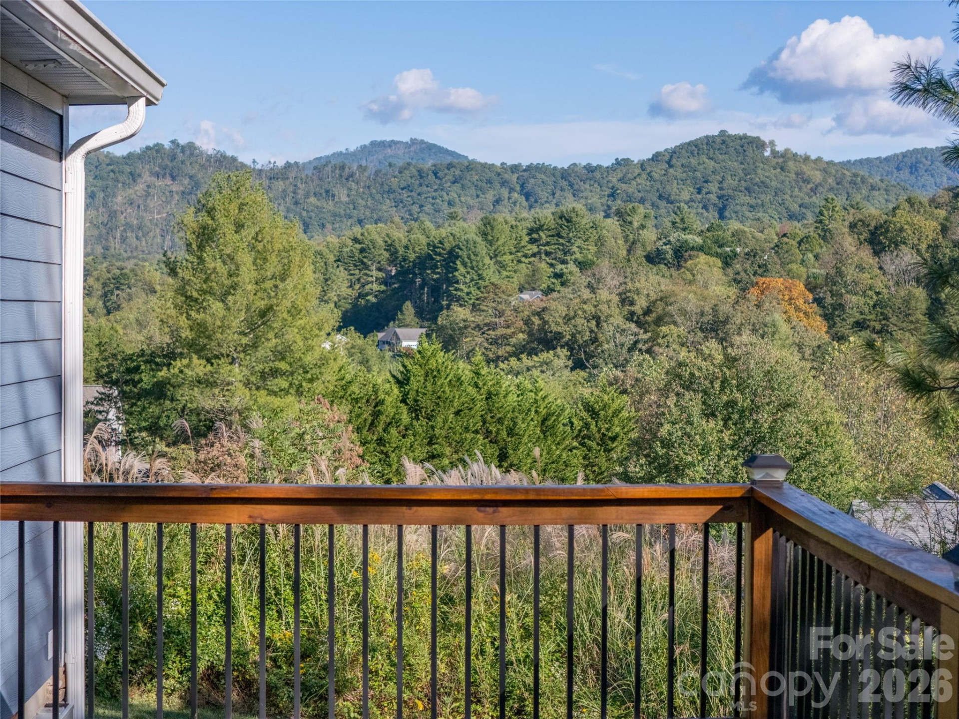 105 Bluebell Ridge Lane - Photo 40