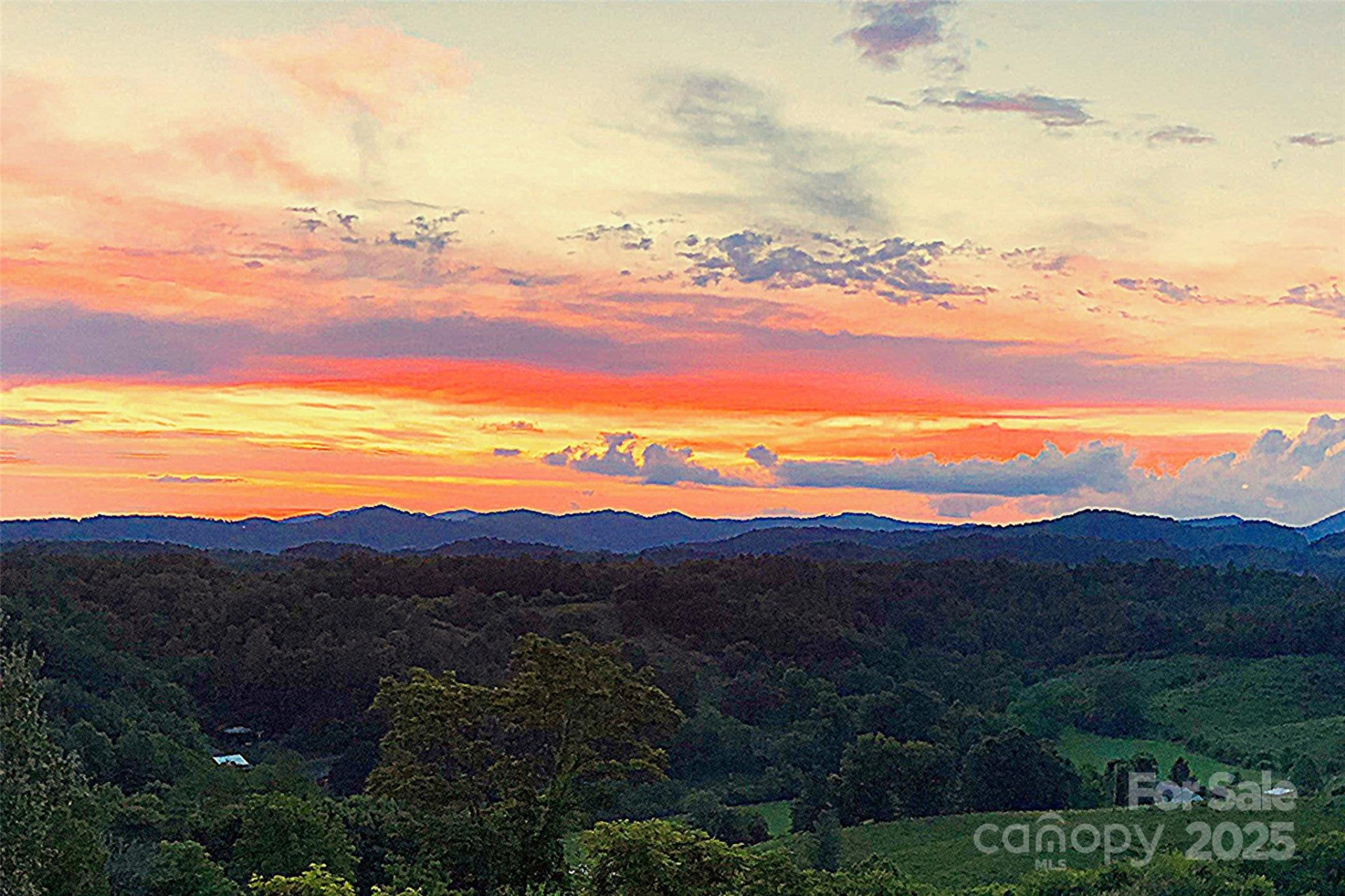 1387 Woods Ammons Road - Photo 28