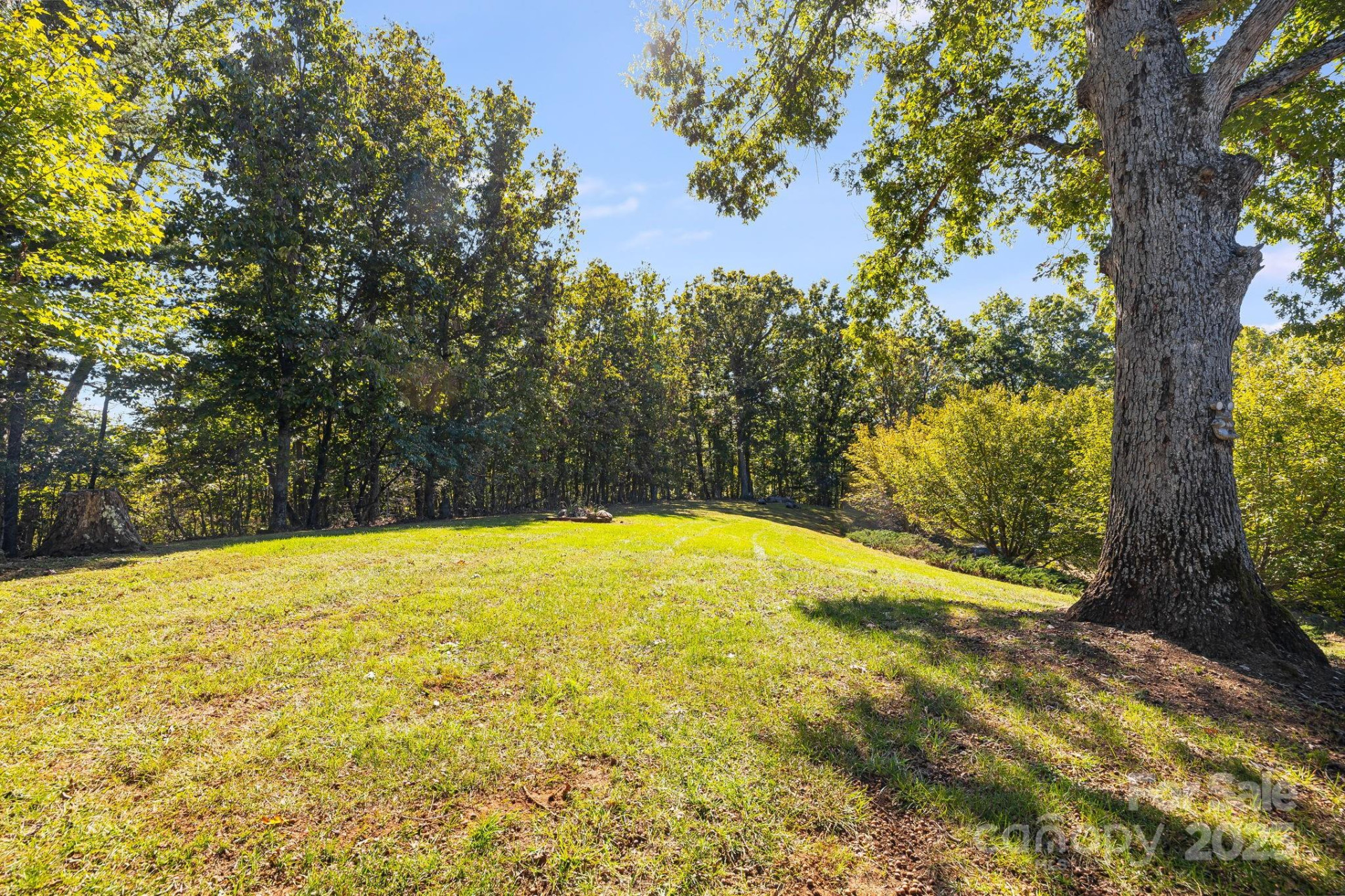 1387 Woods Ammons Road - Photo 38