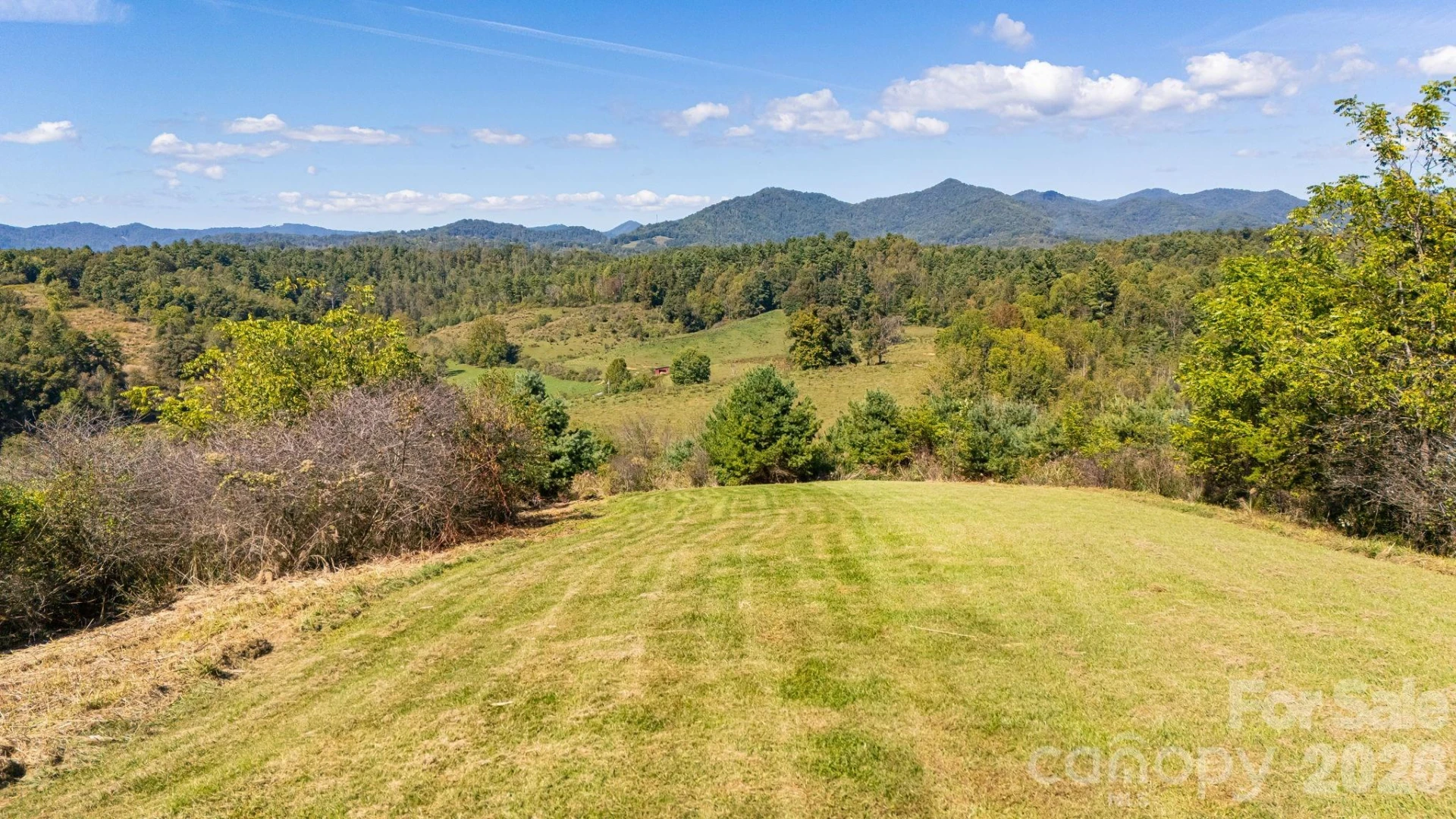 1387 Woods Ammons Road - Photo 46