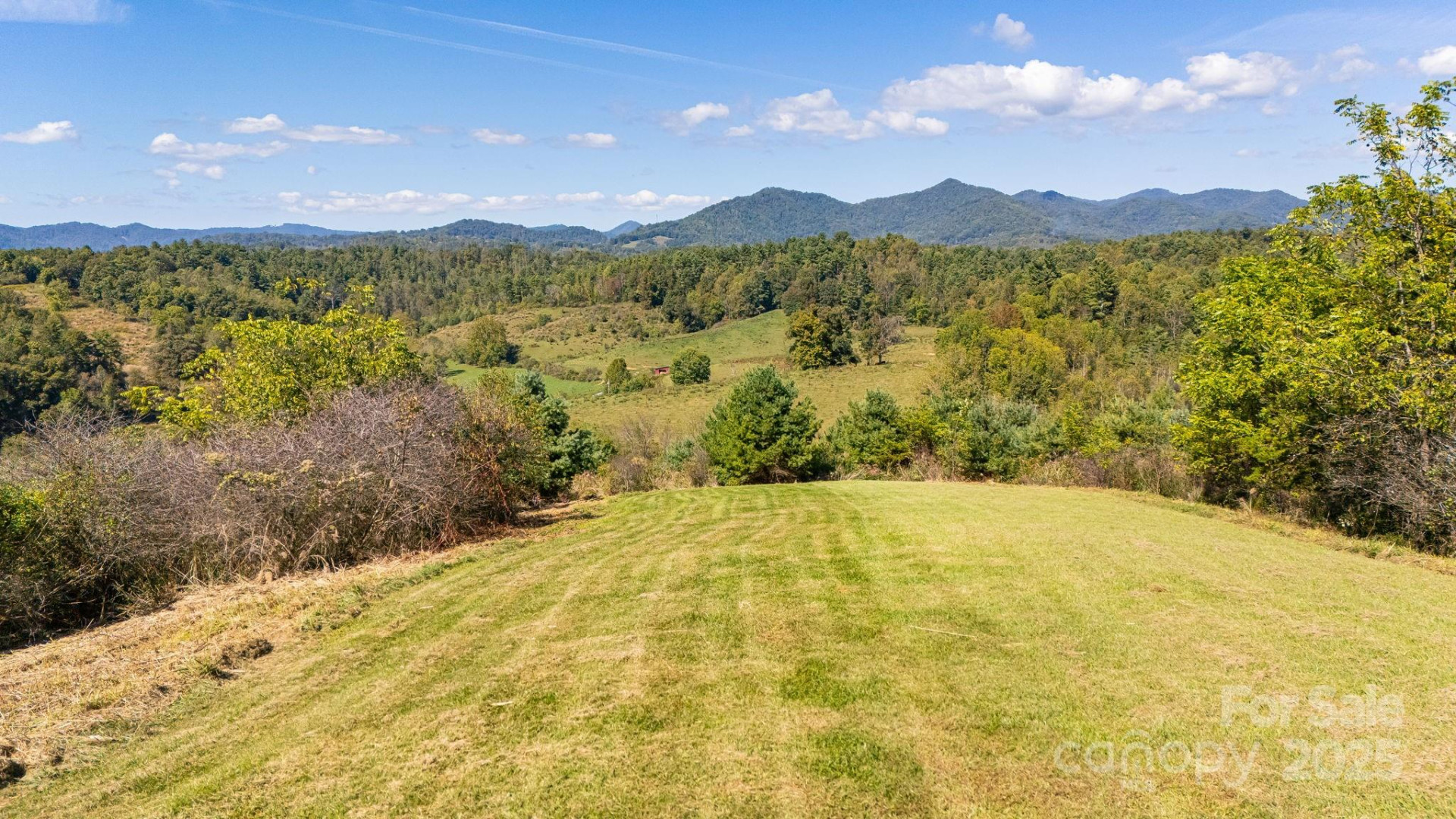 1387 Woods Ammons Road - Photo 47