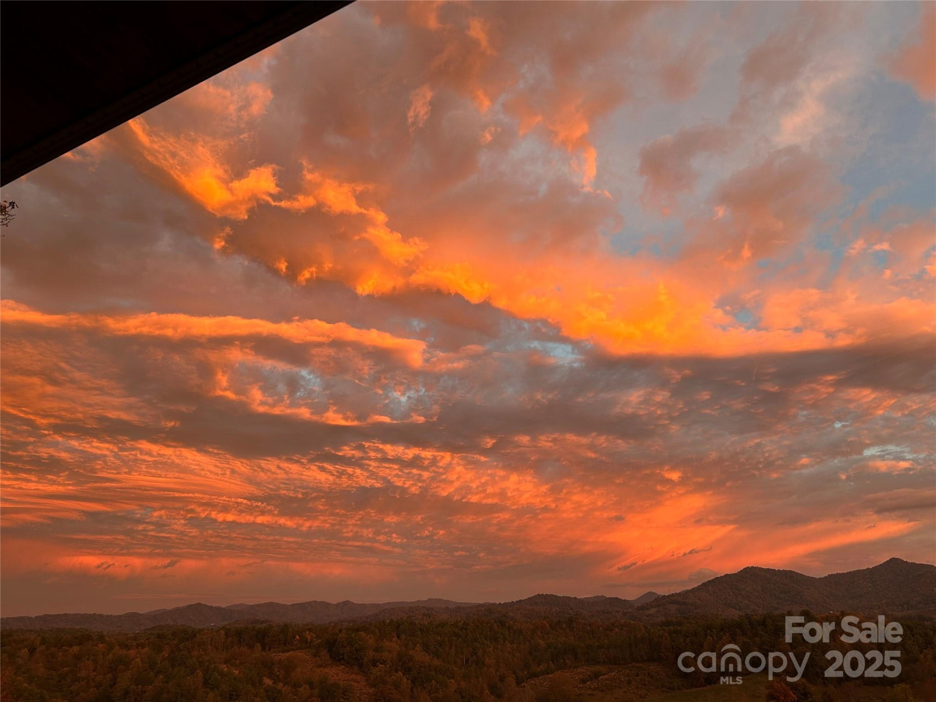 1387 Woods Ammons Road - Photo 48