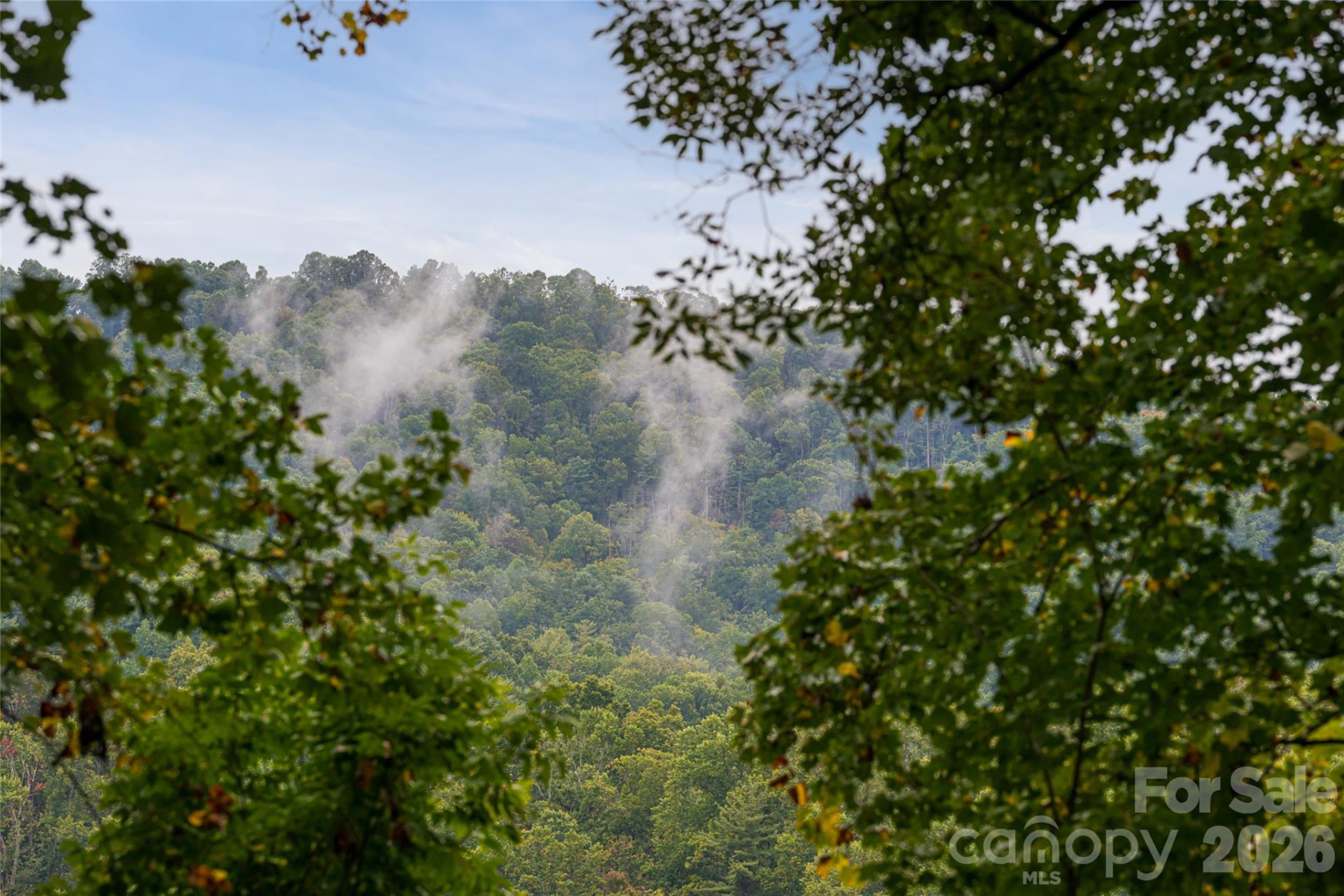 116 Hawk Ridge - Photo 4