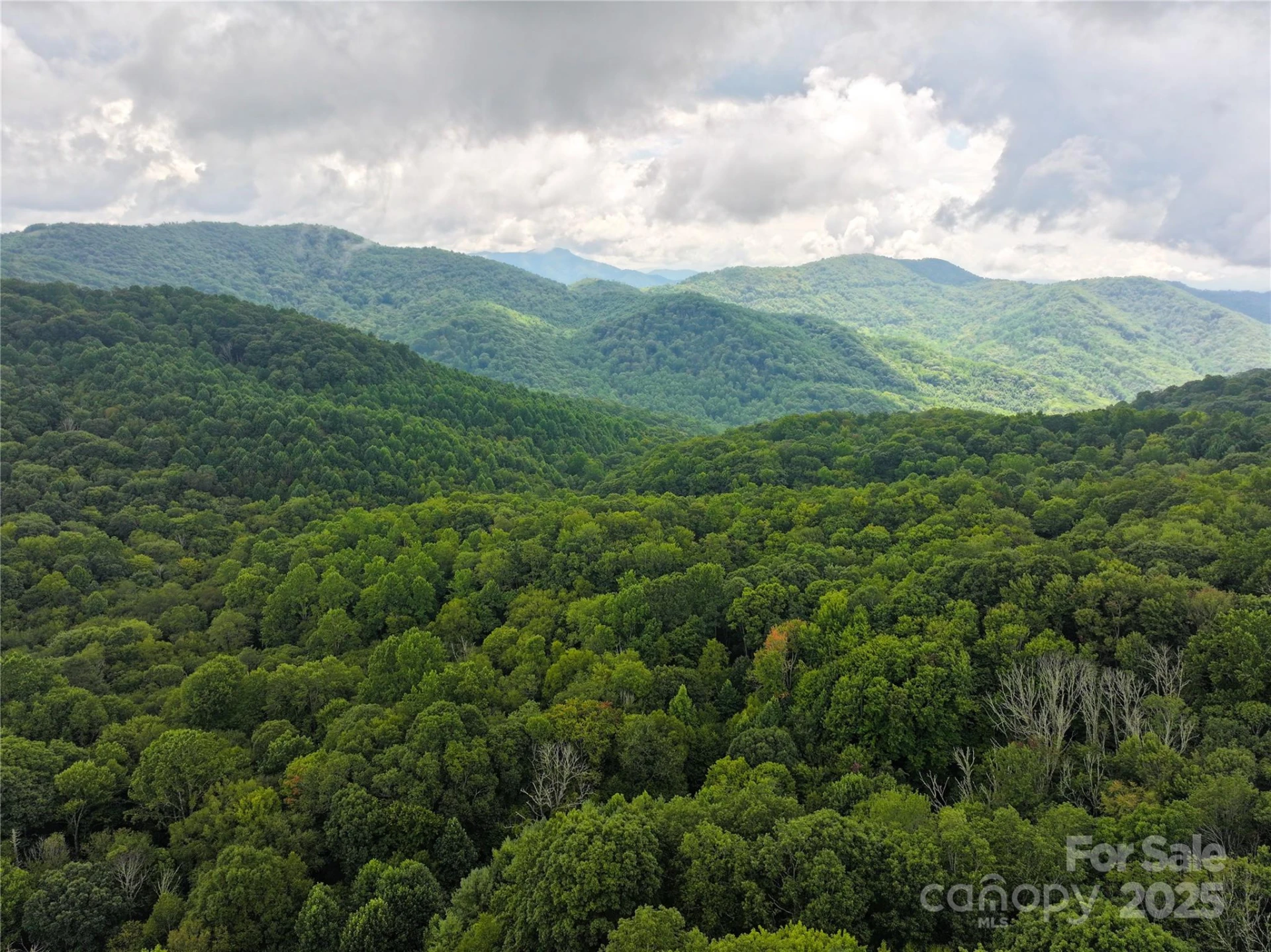 9.83 Acres Juniper Road #23