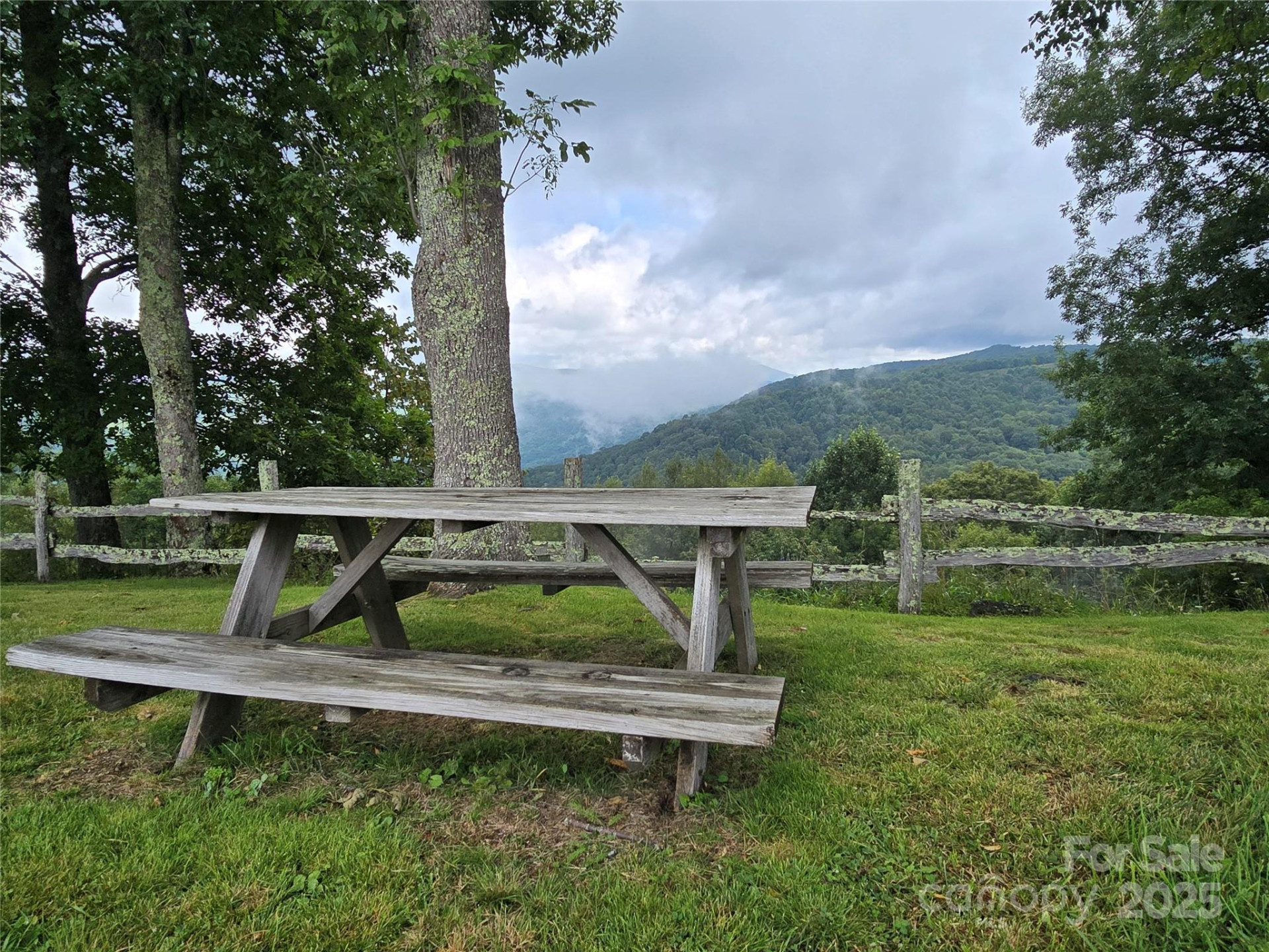 9.83 Acres Juniper Road #23 - Photo 11