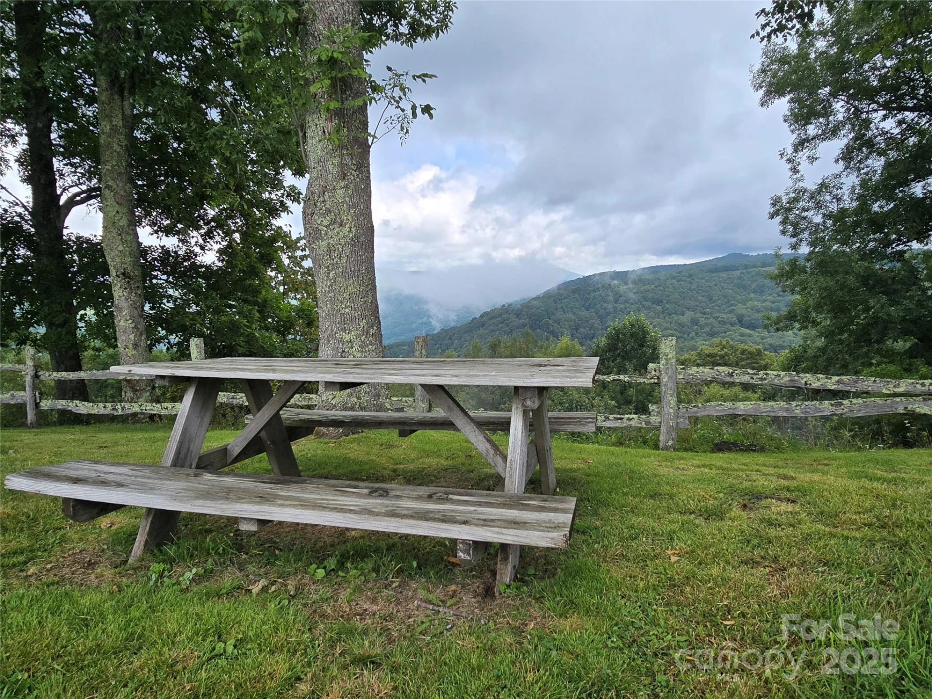9.83 Acres Juniper Road #23 - Photo 11
