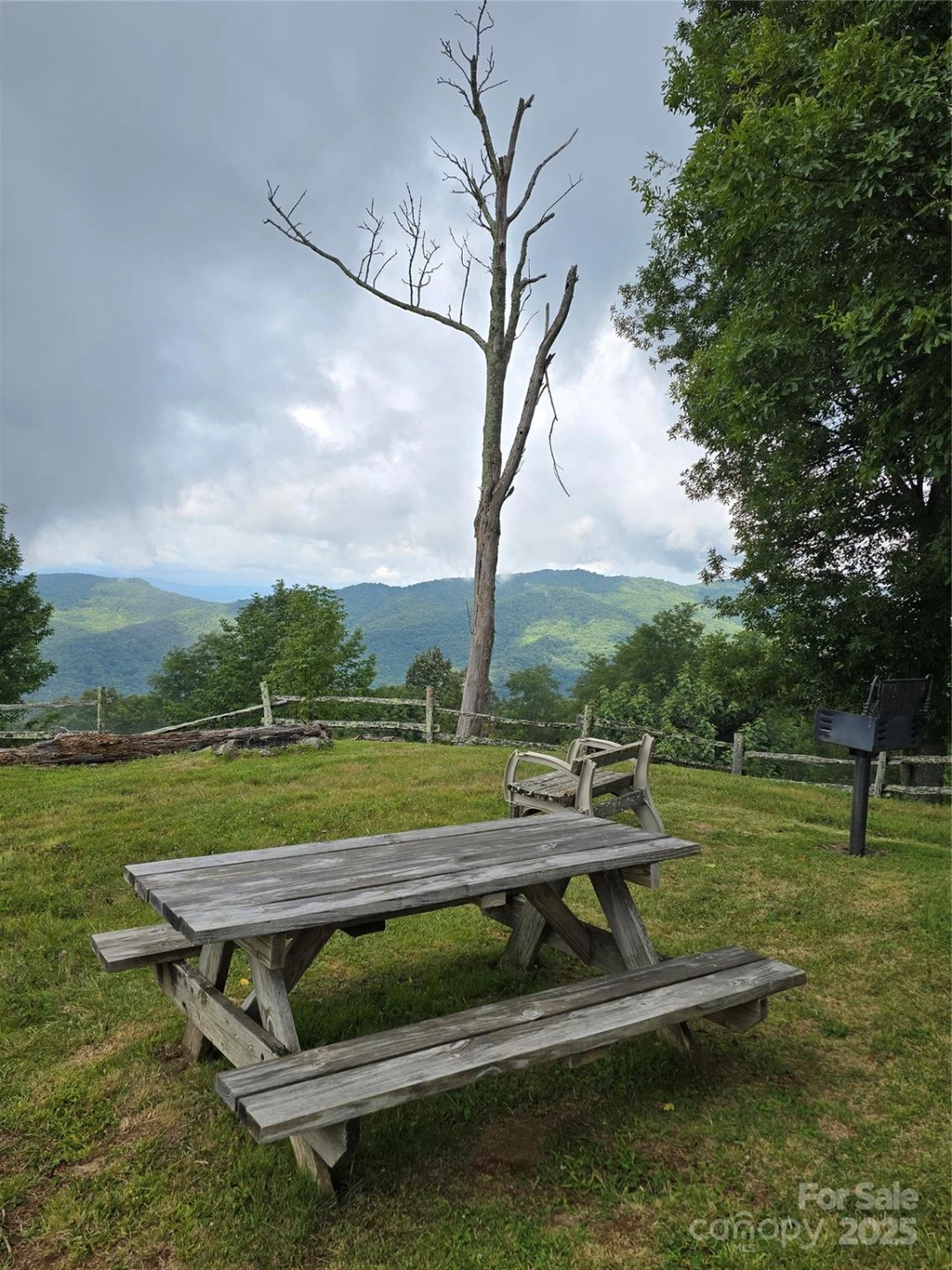 9.83 Acres Juniper Road #23 - Photo 12
