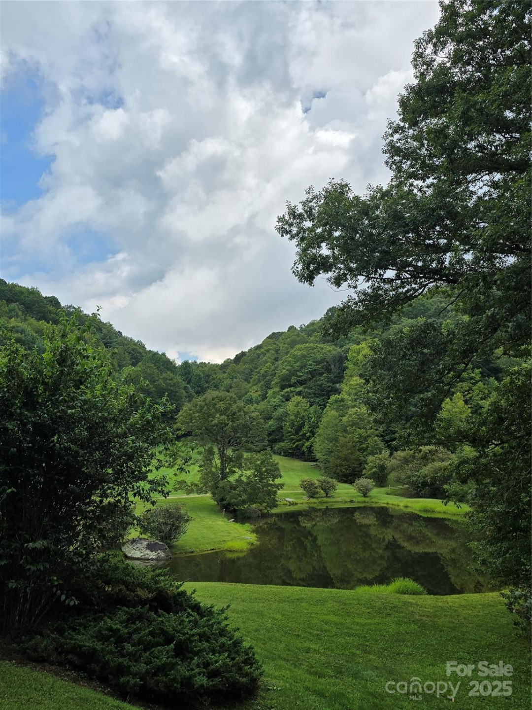 9.83 Acres Juniper Road #23 - Photo 18