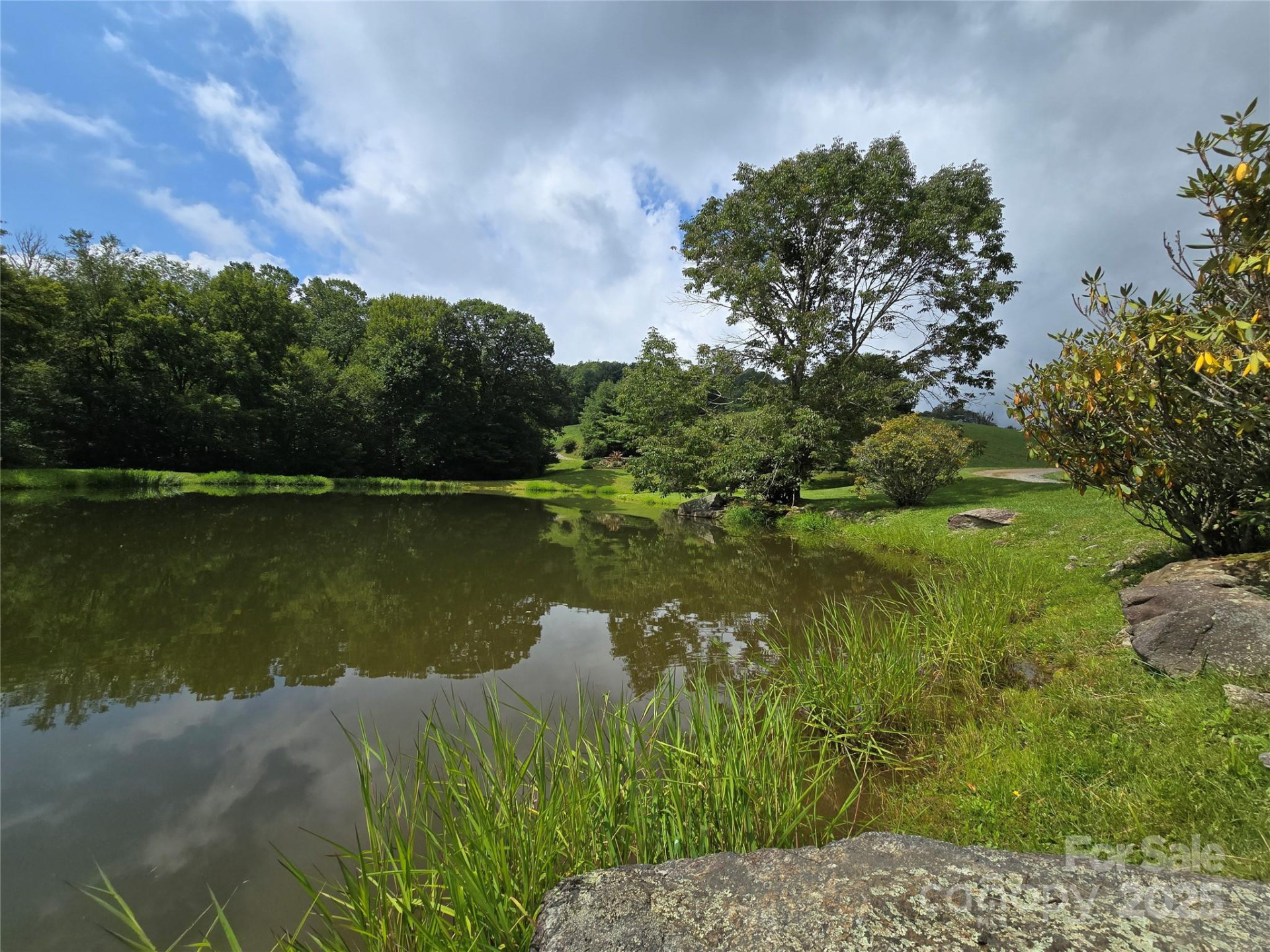 9.83 Acres Juniper Road #23 - Photo 20