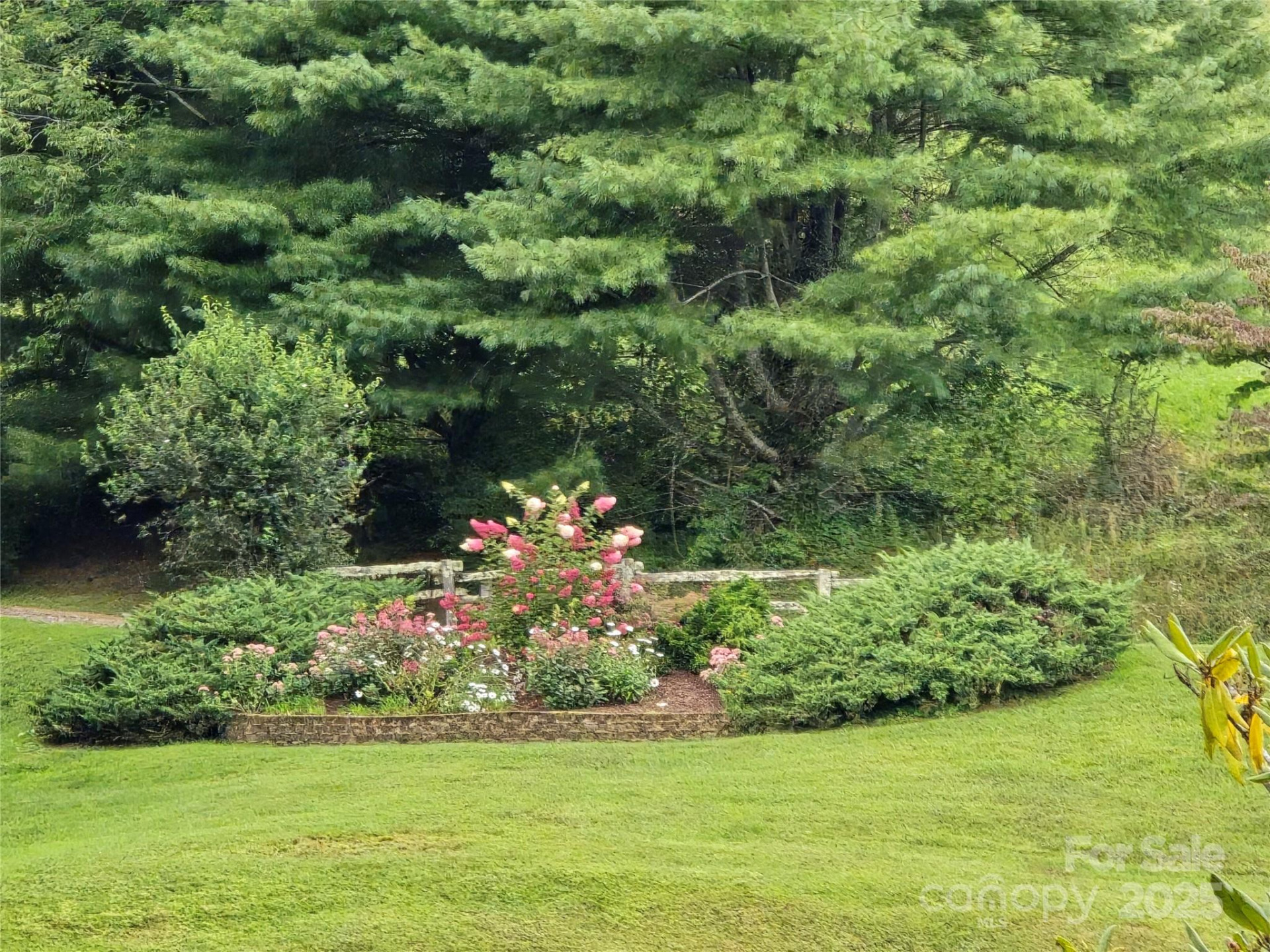 9.83 Acres Juniper Road #23 - Photo 21